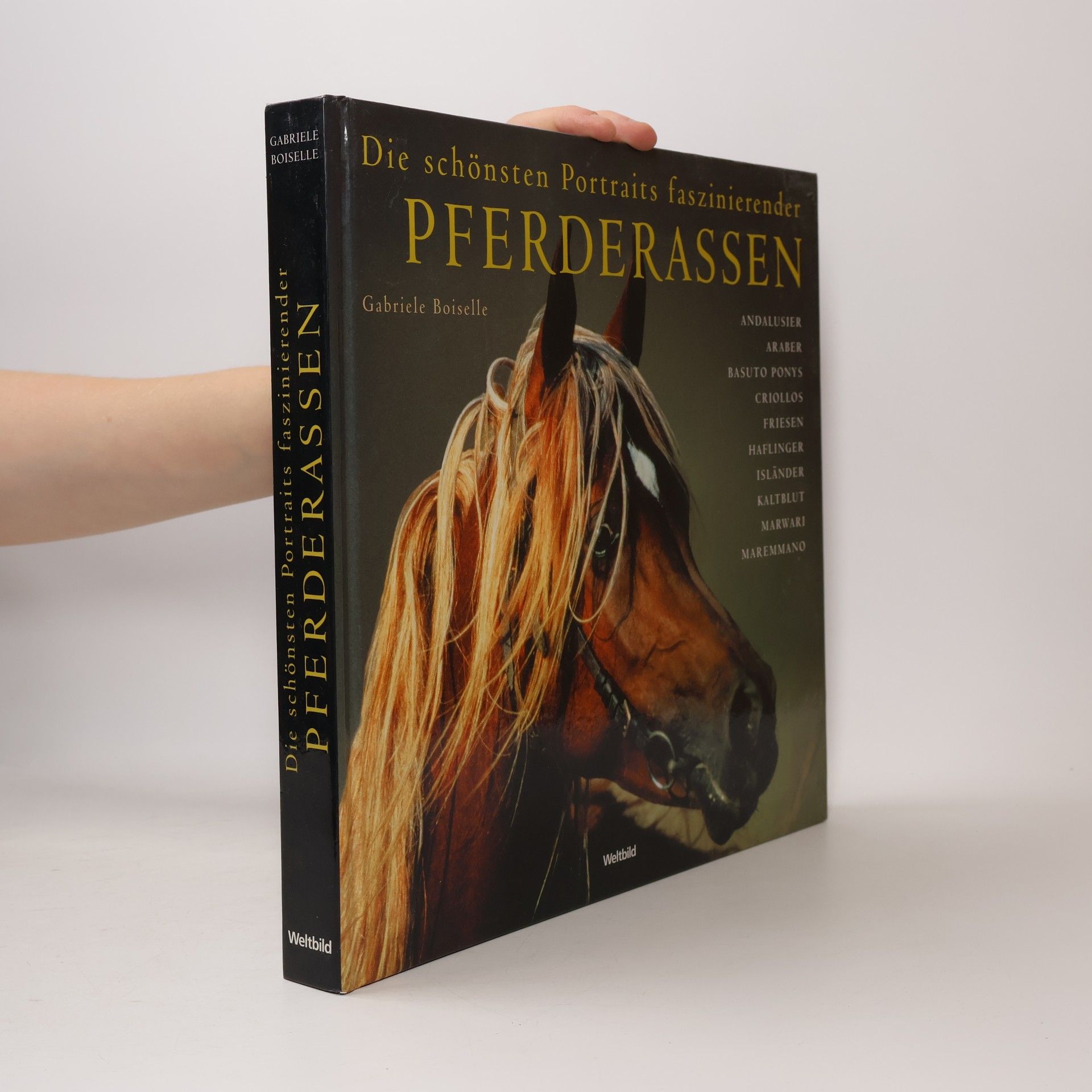 Die schönsten Portraits faszinierender Pferderassen