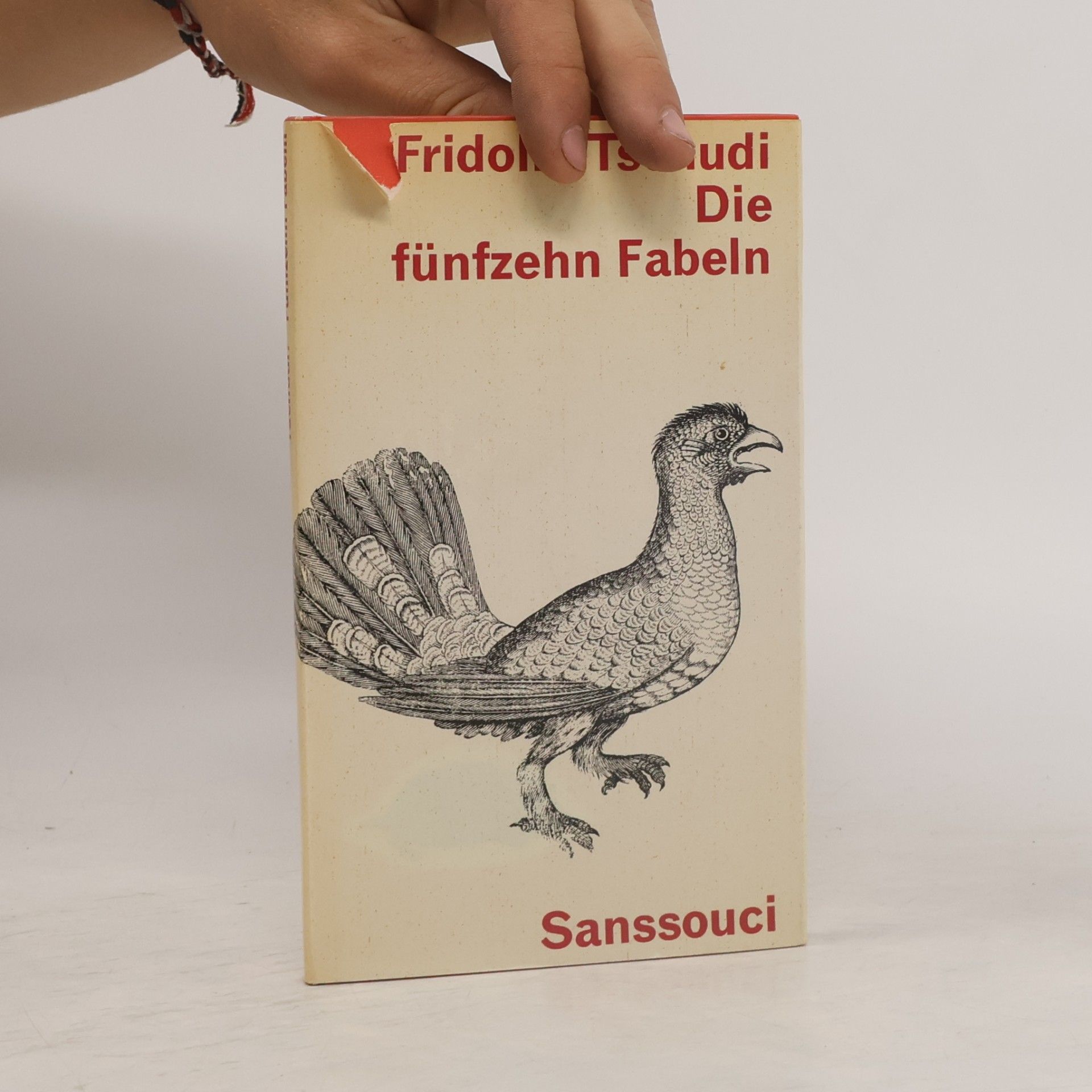 Fridolin Tschudi Die fünfzehn Fabeln