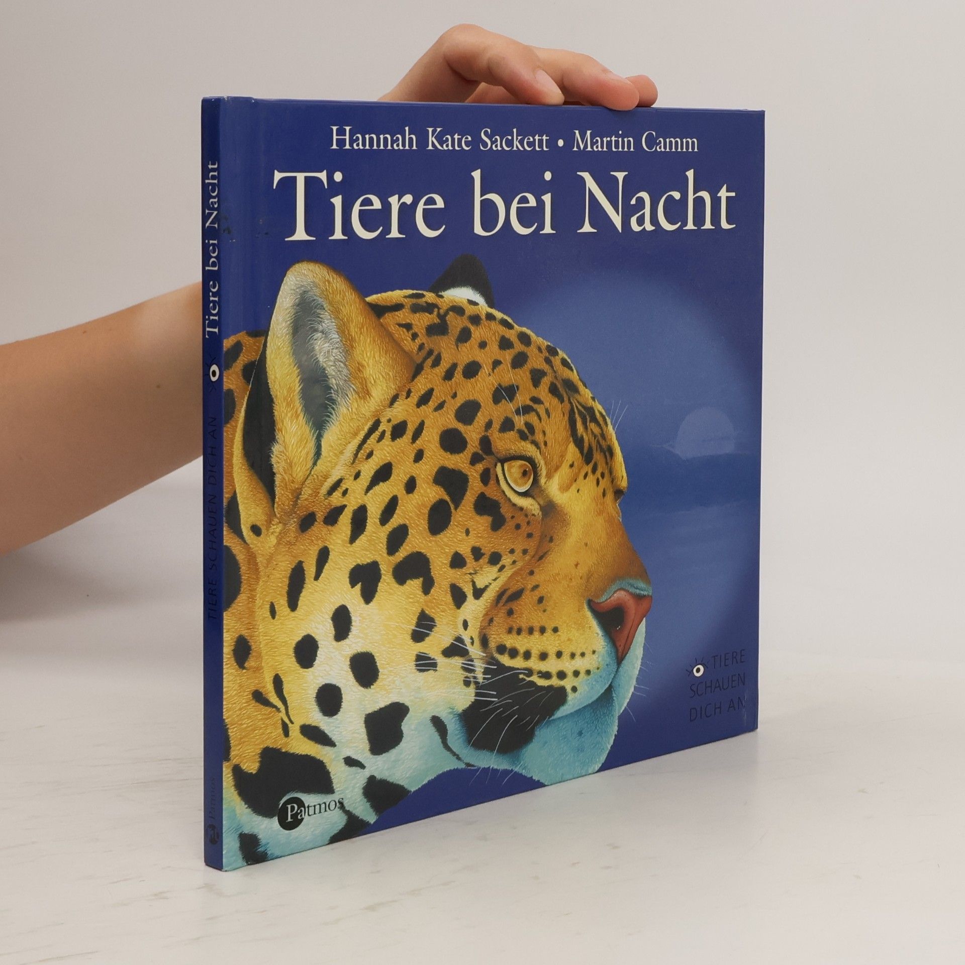 Hannah Kate Sackett Tiere bei Nacht