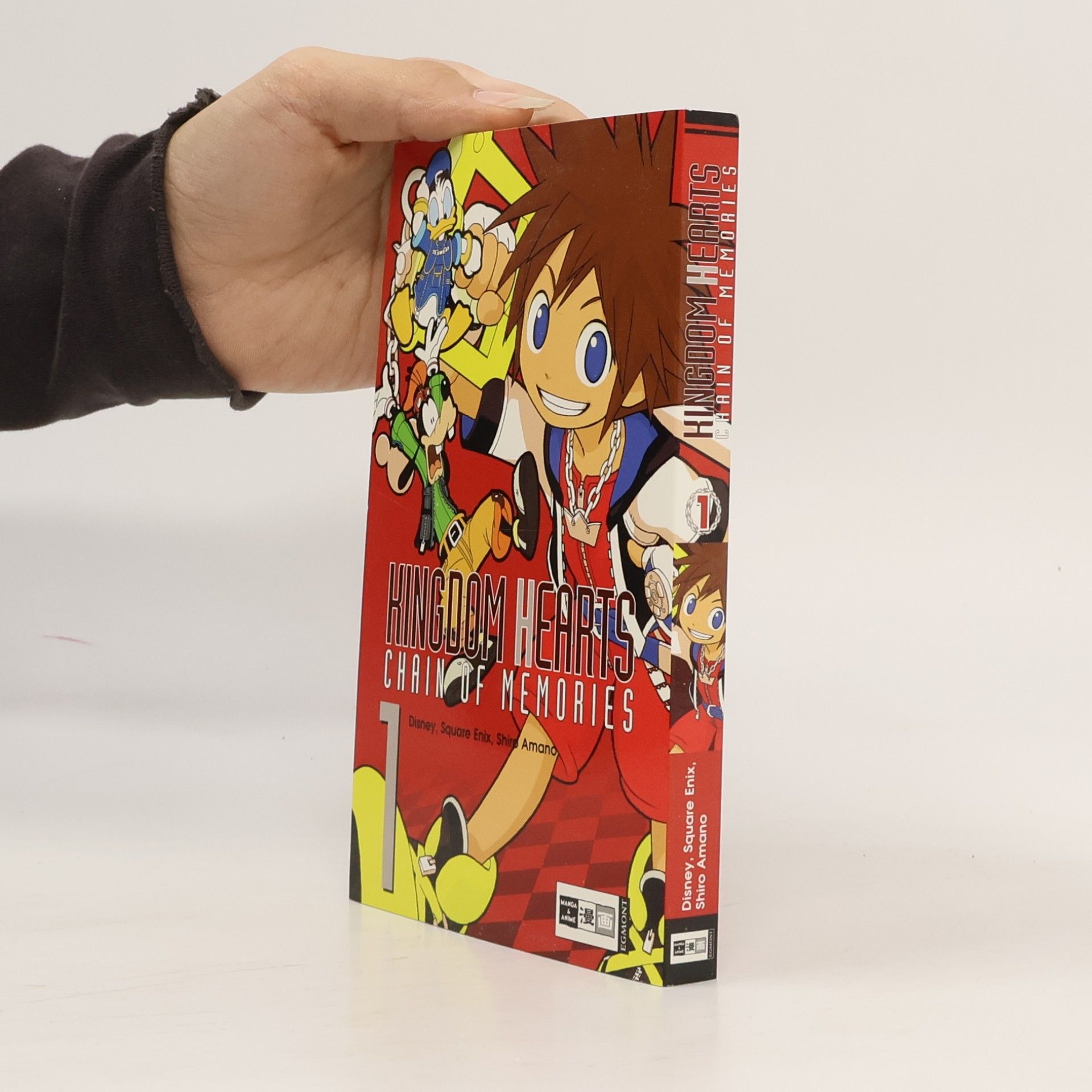 Kolektiv autorů Kingdom hearts