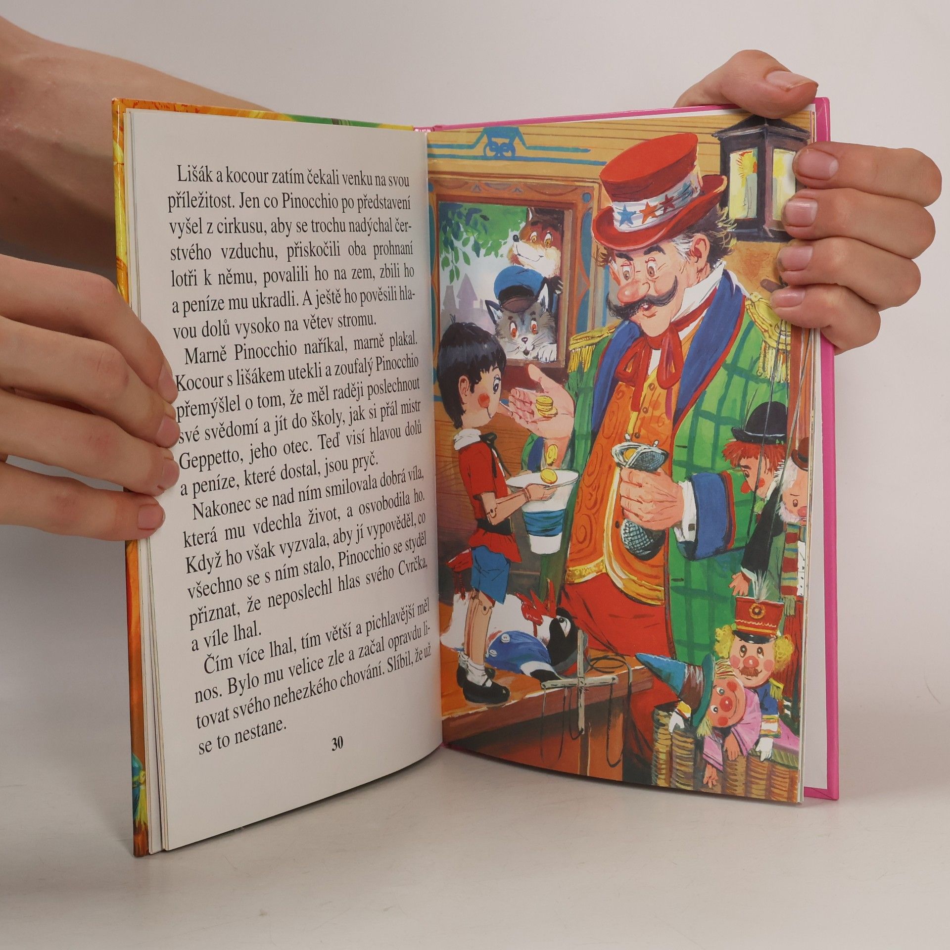 Autorenkollektiv O Popelce a jiné pohádky