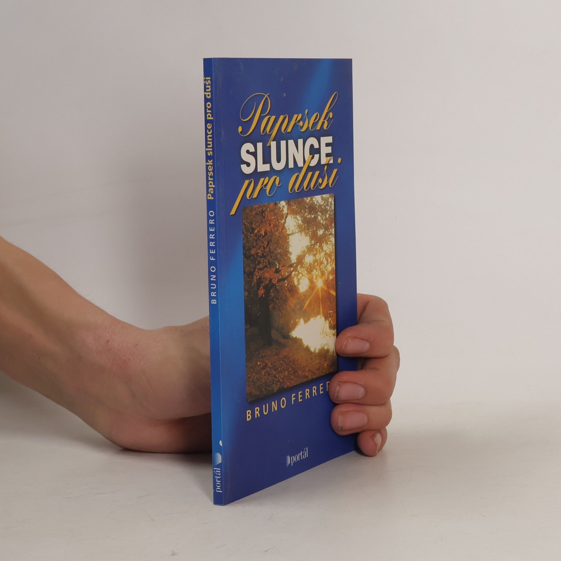 Bruno Ferrero Paprsek slunce pro duši