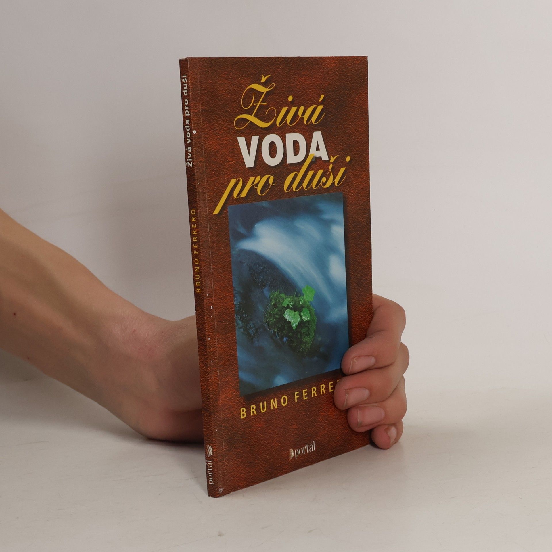 Bruno Ferrero Živá voda pro duši