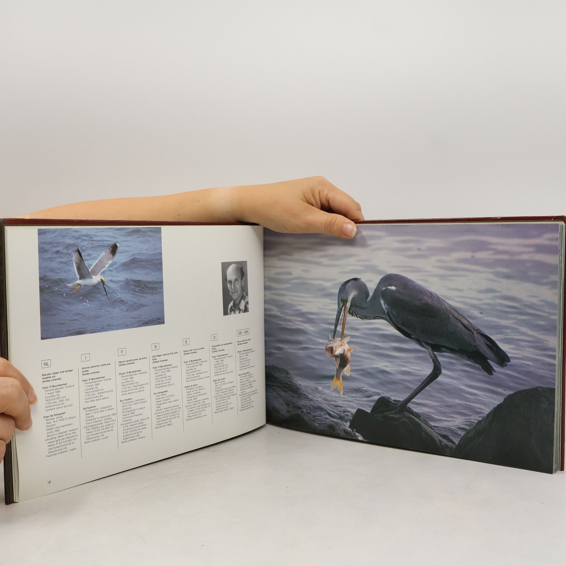 Autorenkollektiv Naturfotografie Jahrbuch 1985/86