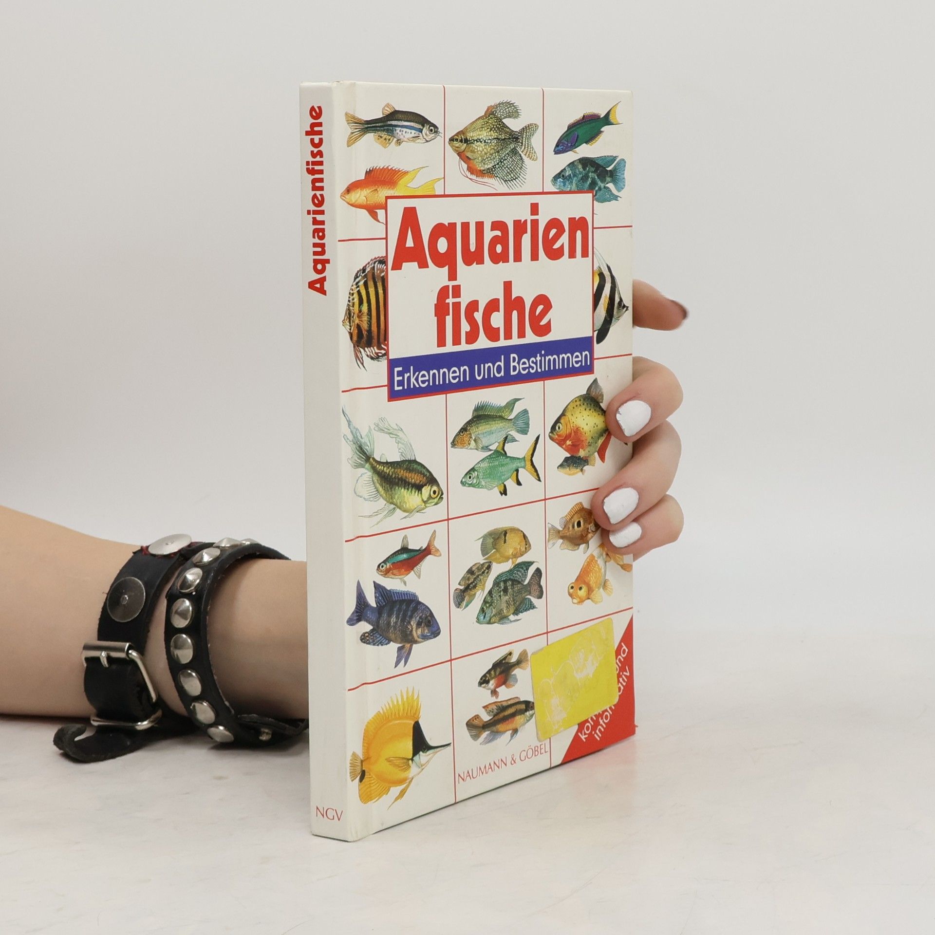 Aquarienfische