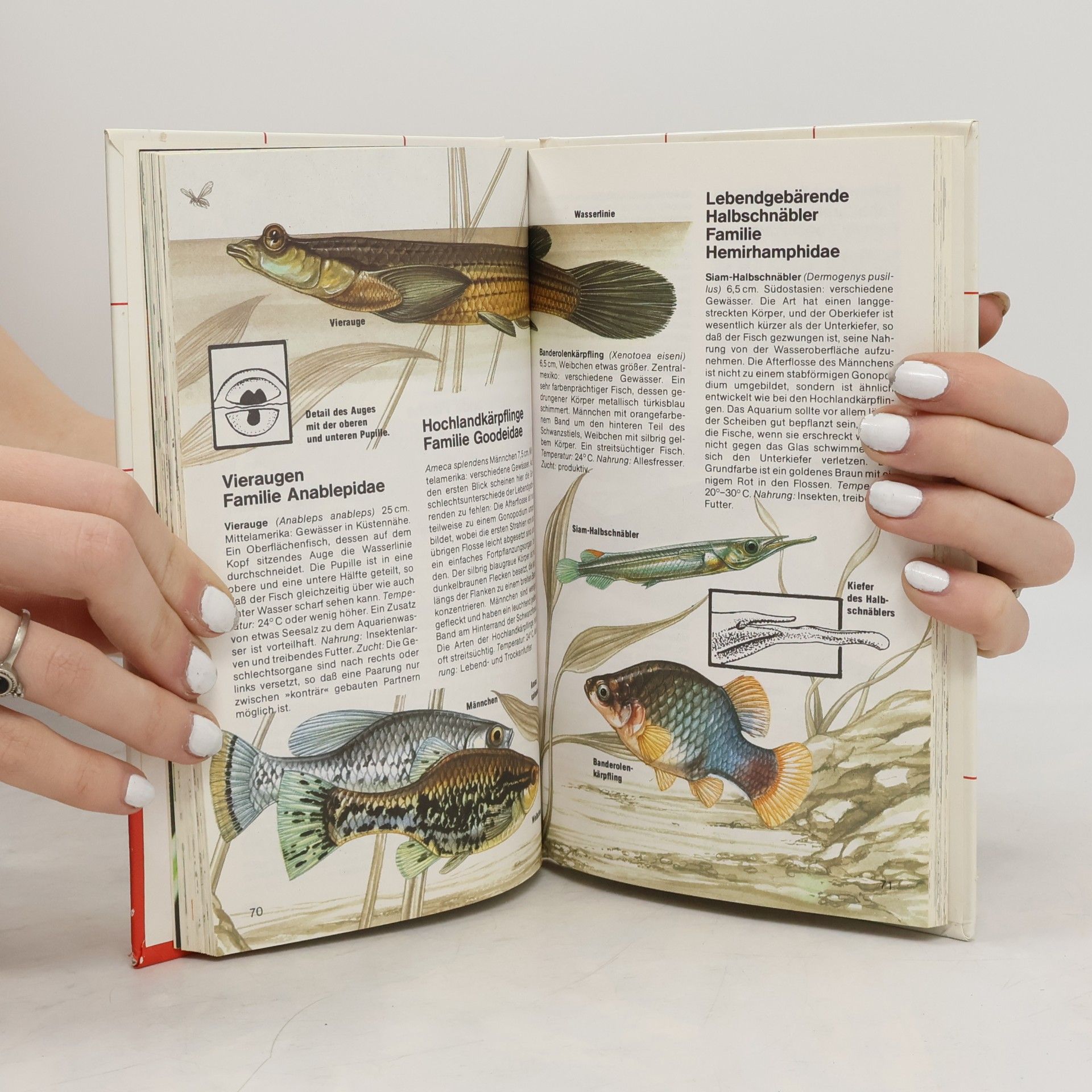 Dick Mills Aquarienfische