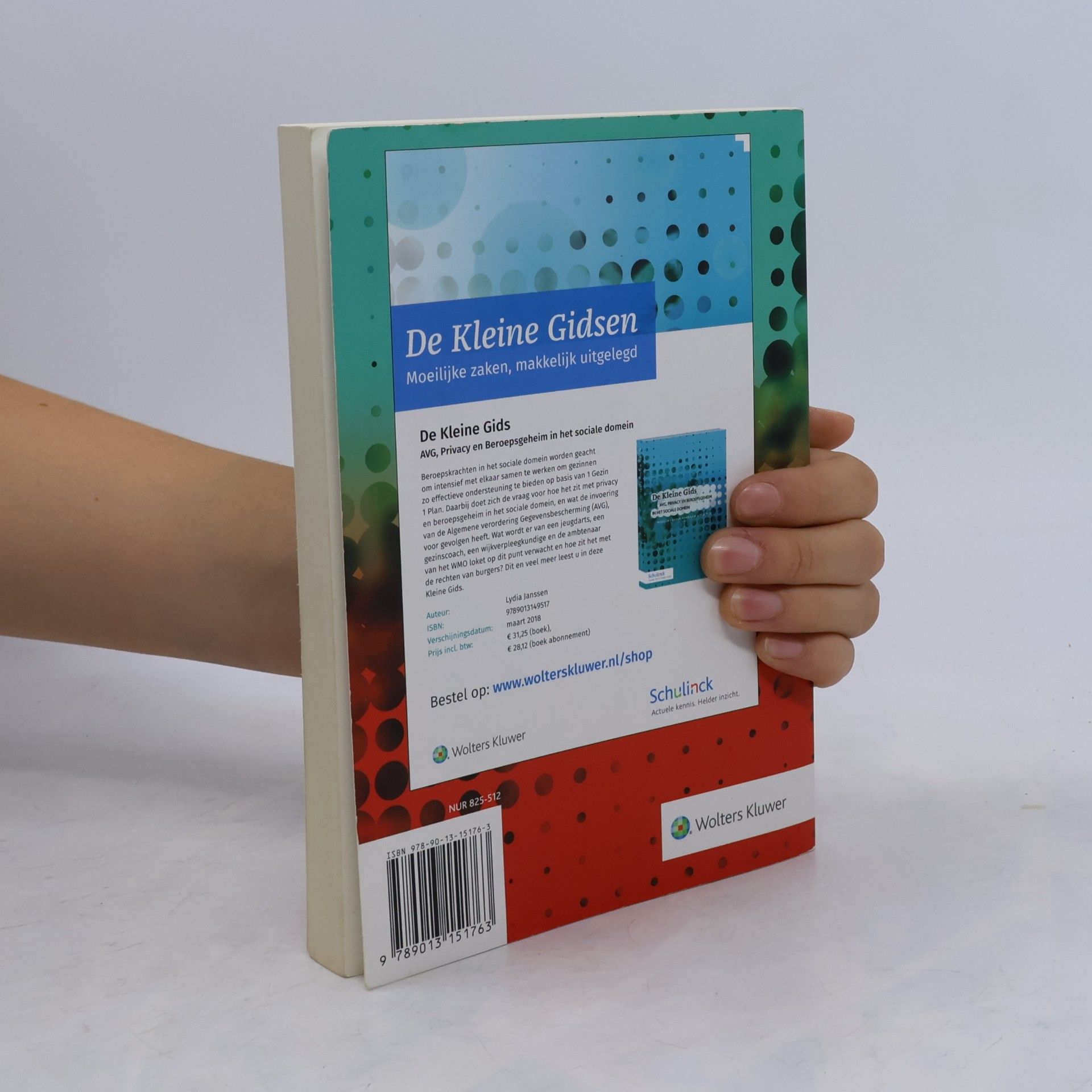 De Kleine Gids voor de Nederlandse sociale zekerheid 2019.1: Moeilijke zaken makkelijk uitgelegd