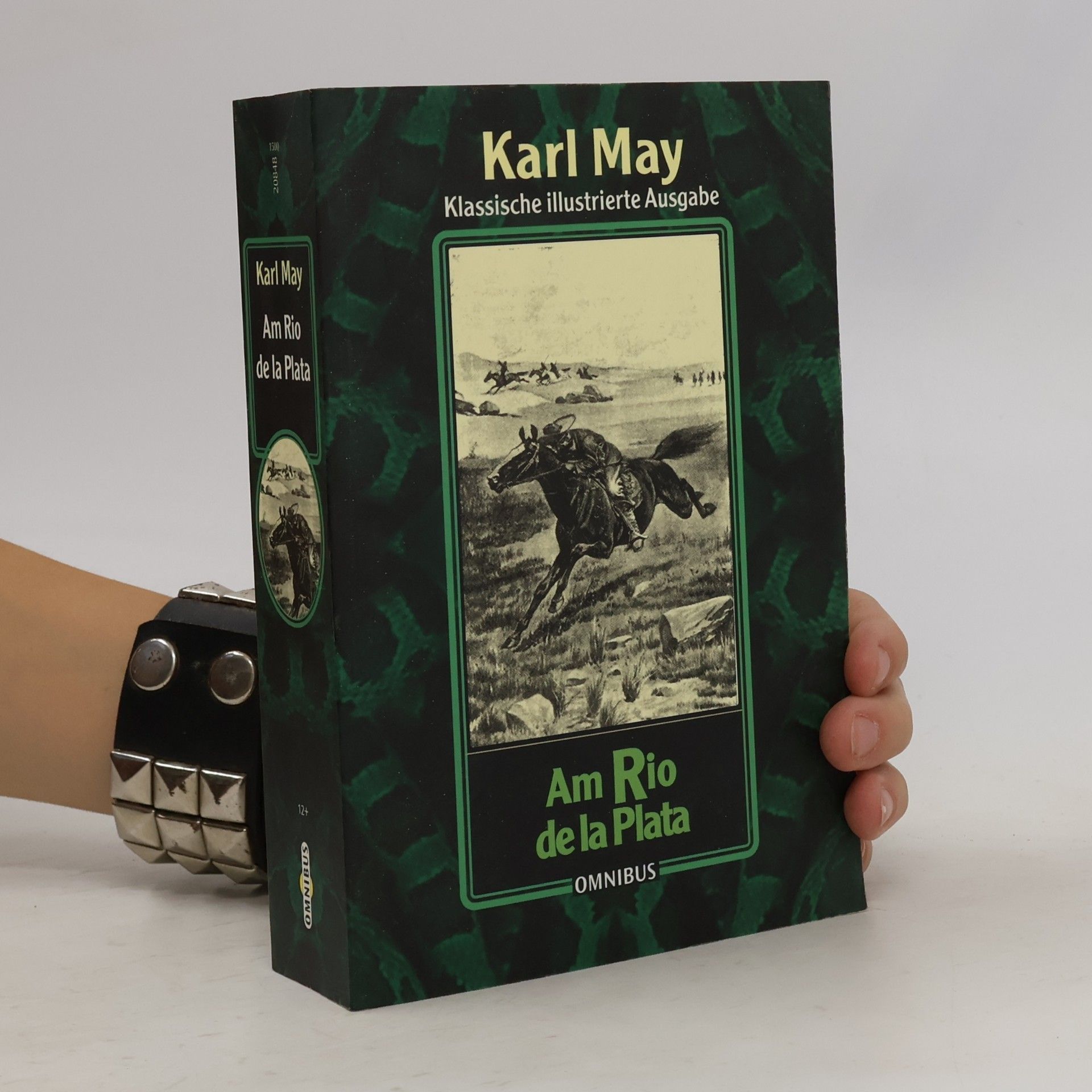 Karl May Am Rio de la Plata - Klassische illustrierte Ausgabe