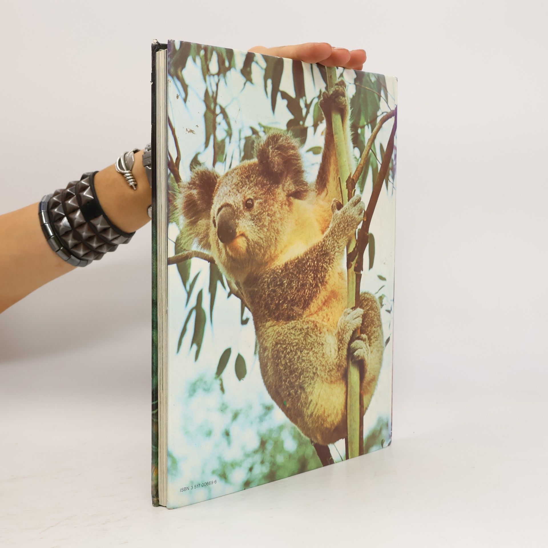 David Roberts Mein erstes Buch der Tierkinder