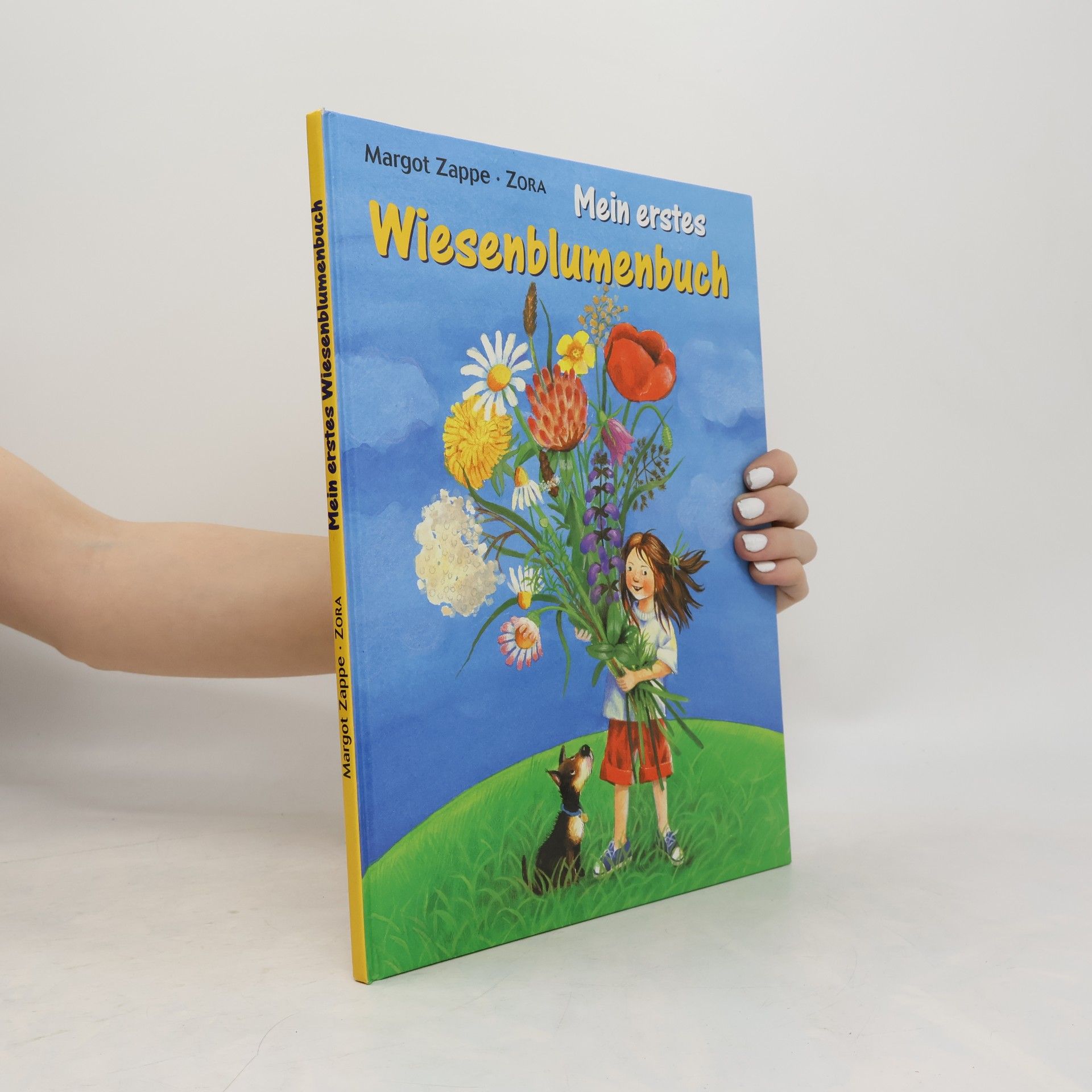 Margot Zappe Mein erstes Wiesenblumenbuch