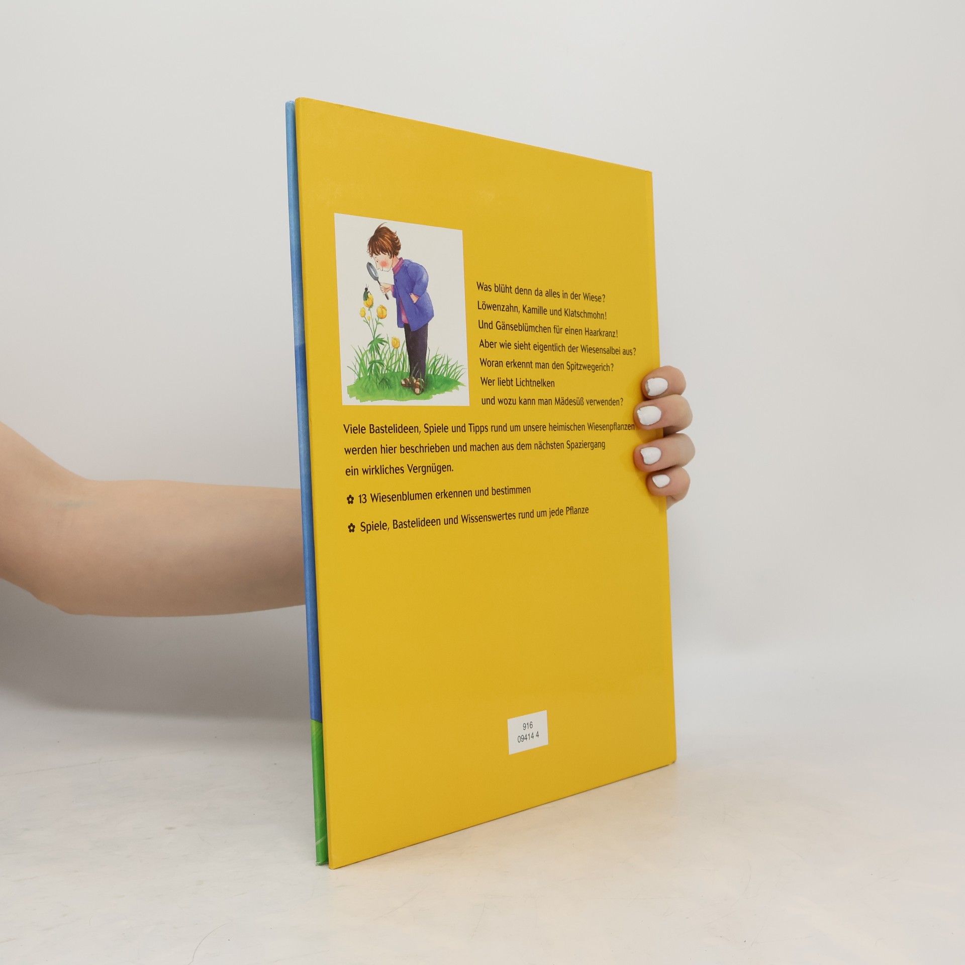 Margot Zappe Mein erstes Wiesenblumenbuch