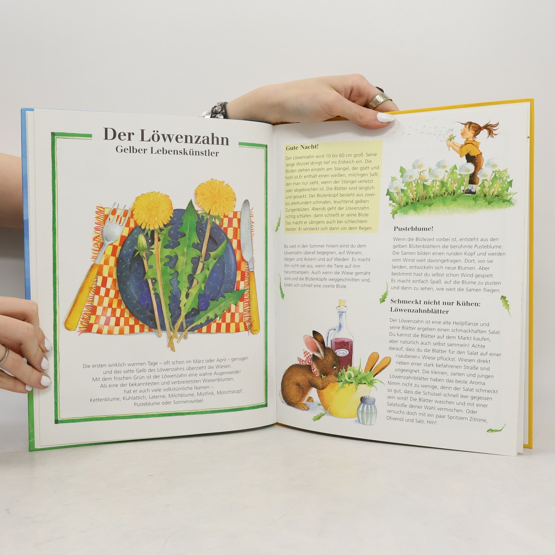 Margot Zappe Mein erstes Wiesenblumenbuch