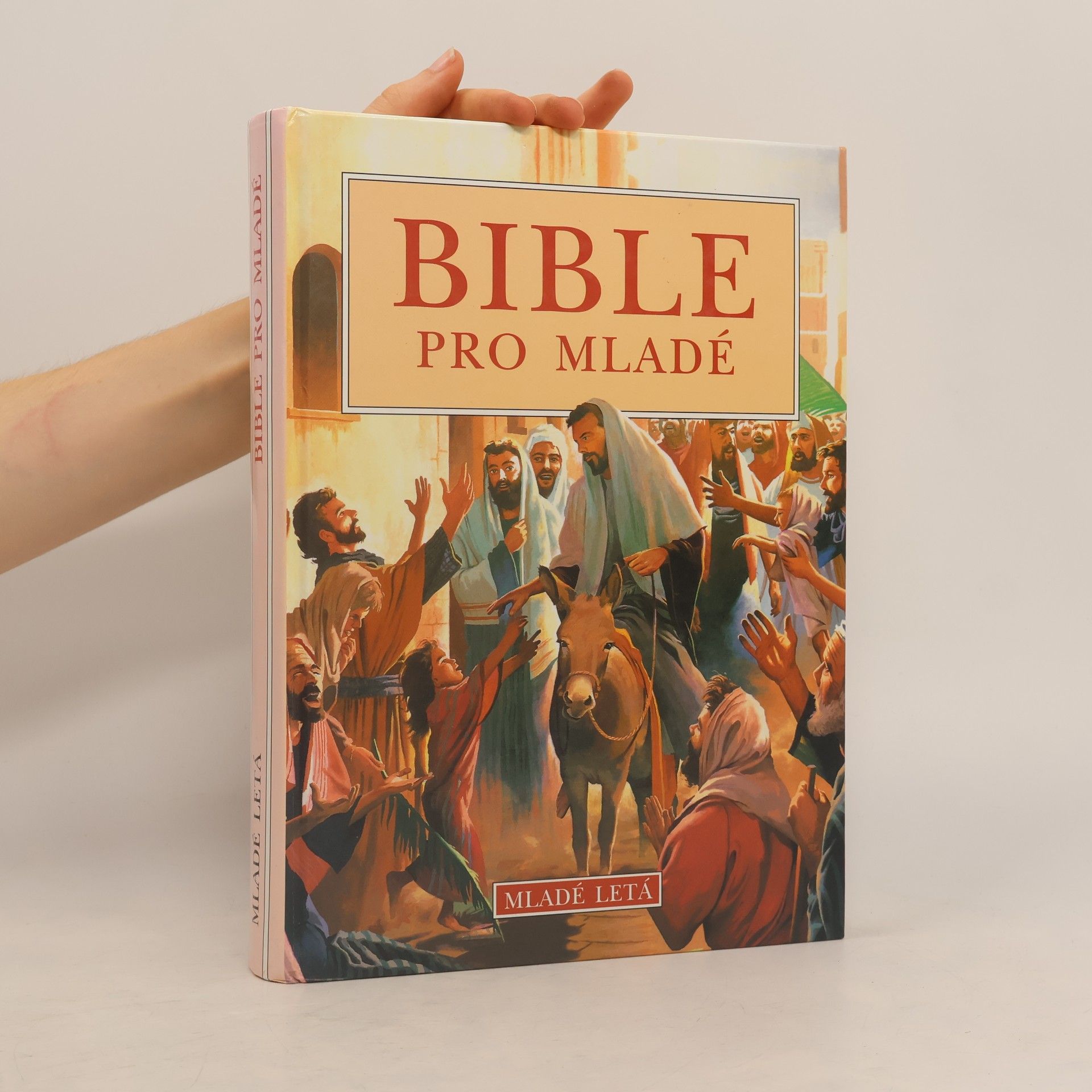 kolektiv Bible pro mladé