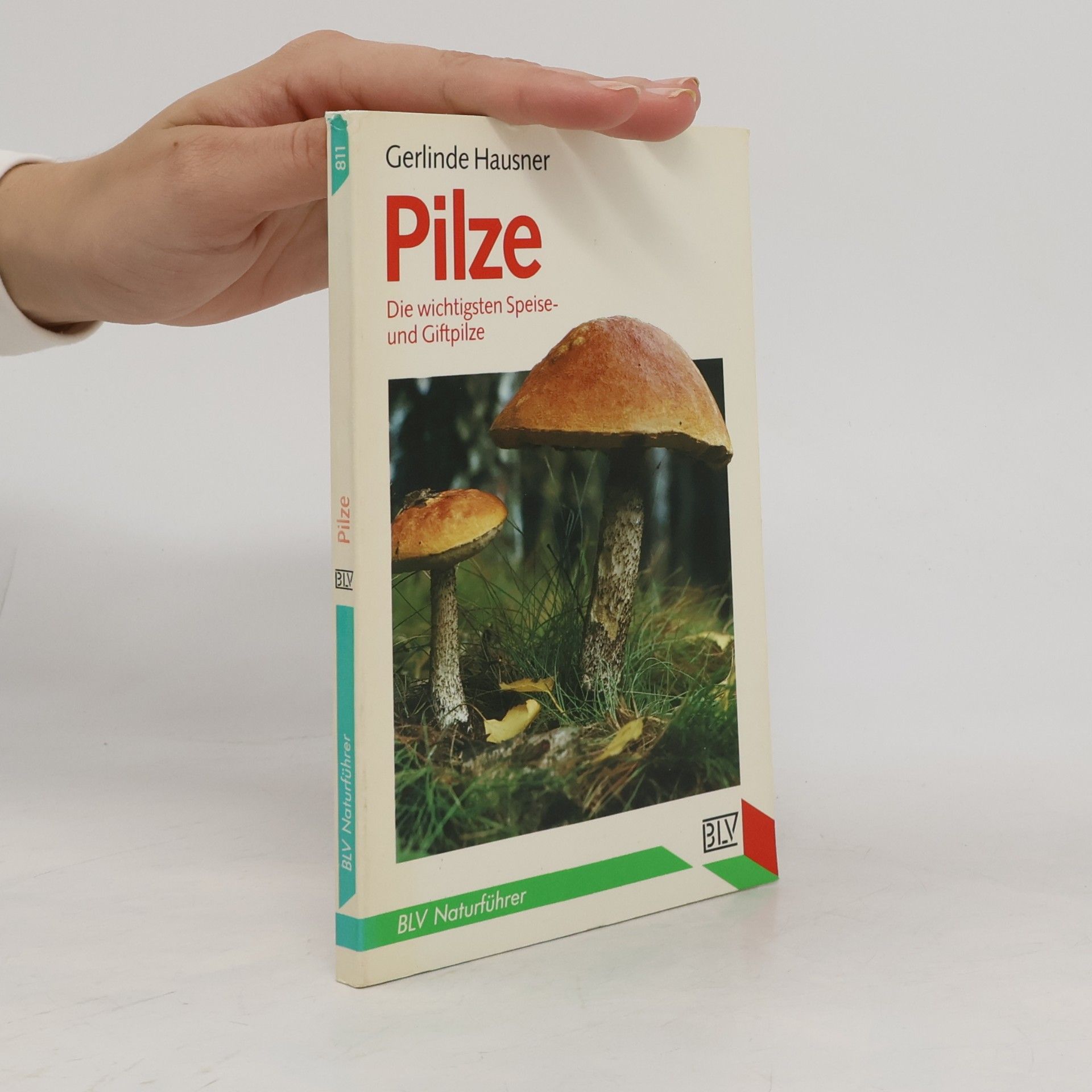 Gerlinde Hausner Pilze