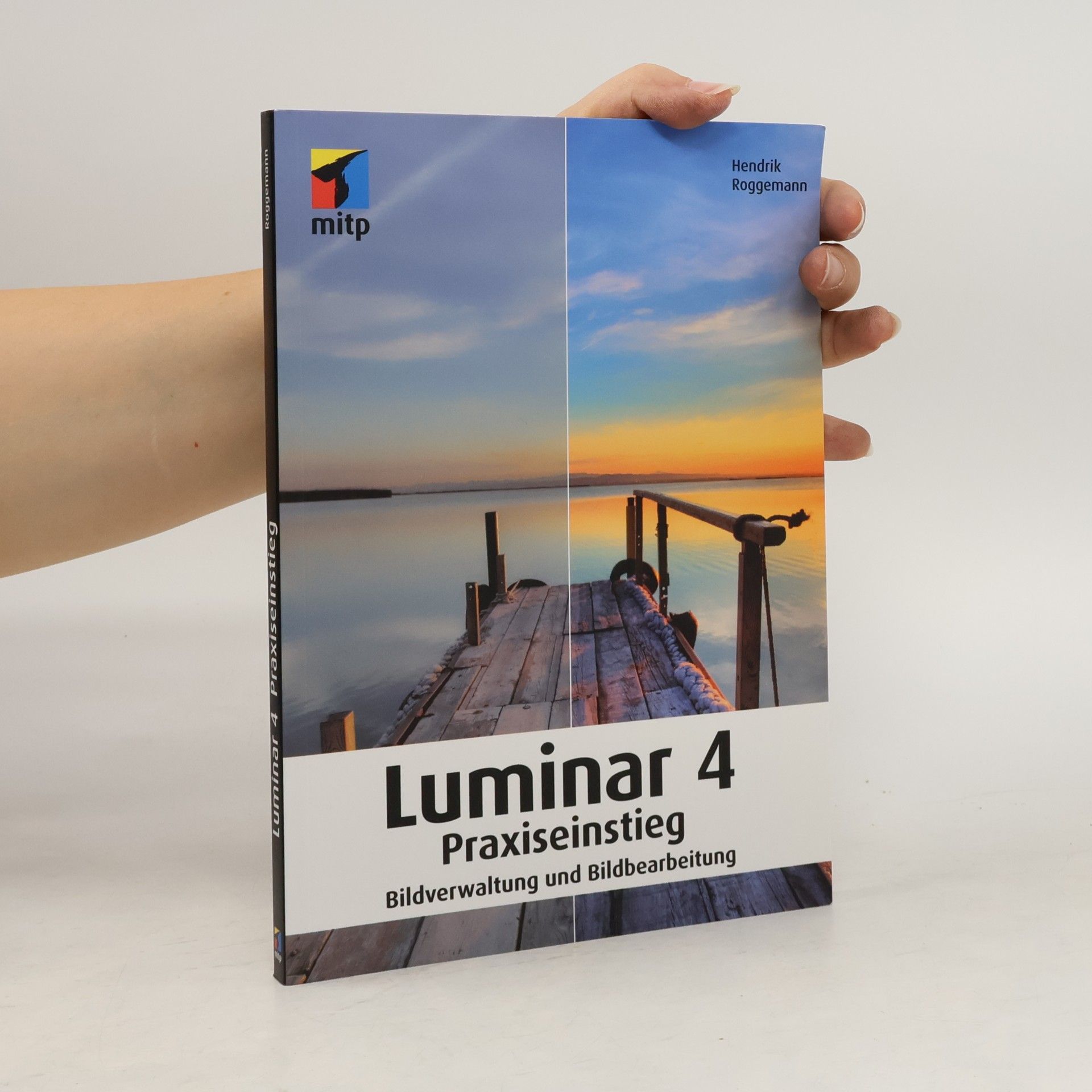 Hendrik Roggemann Luminar 4 Praxiseinstieg