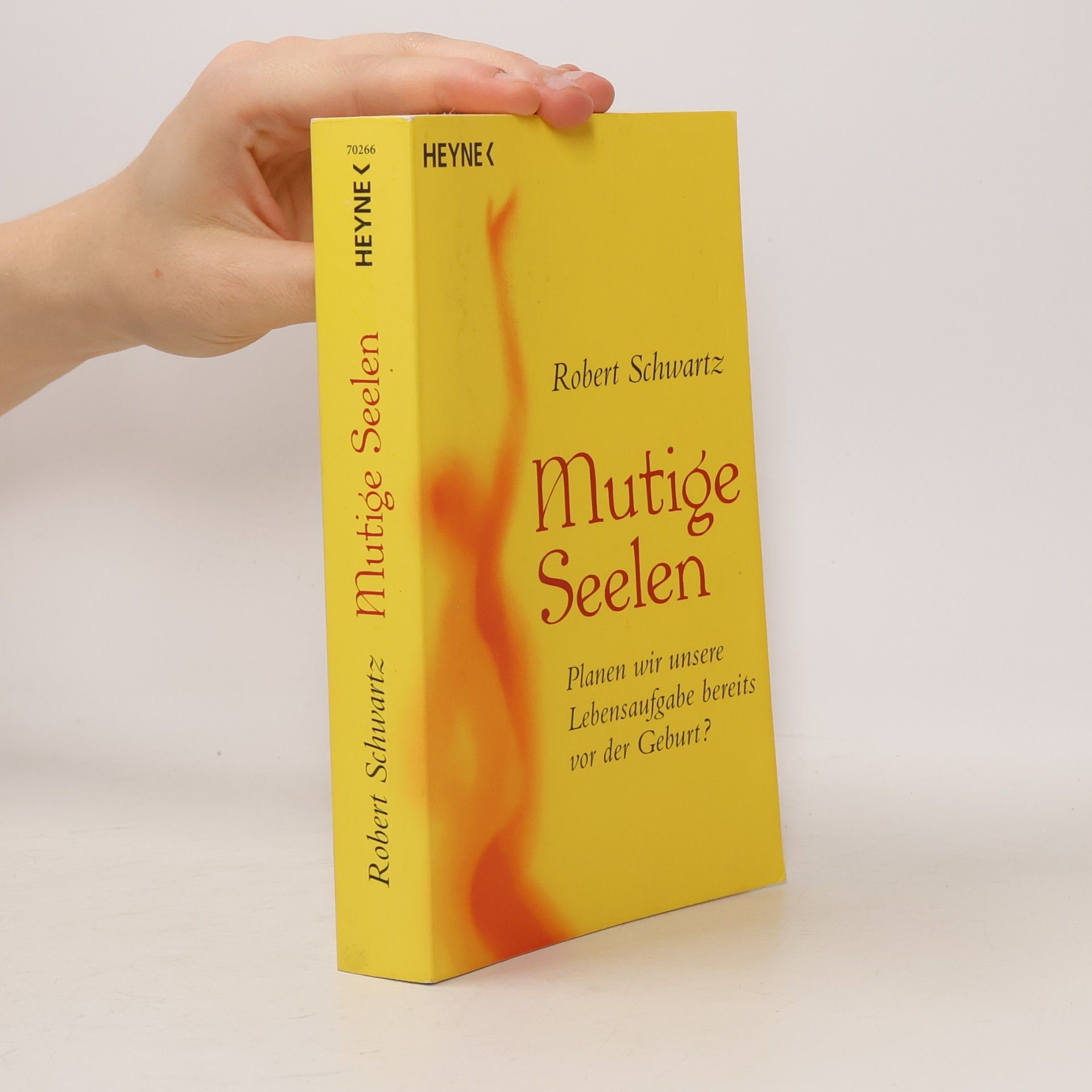 Robert Schwartz Mutige Seelen