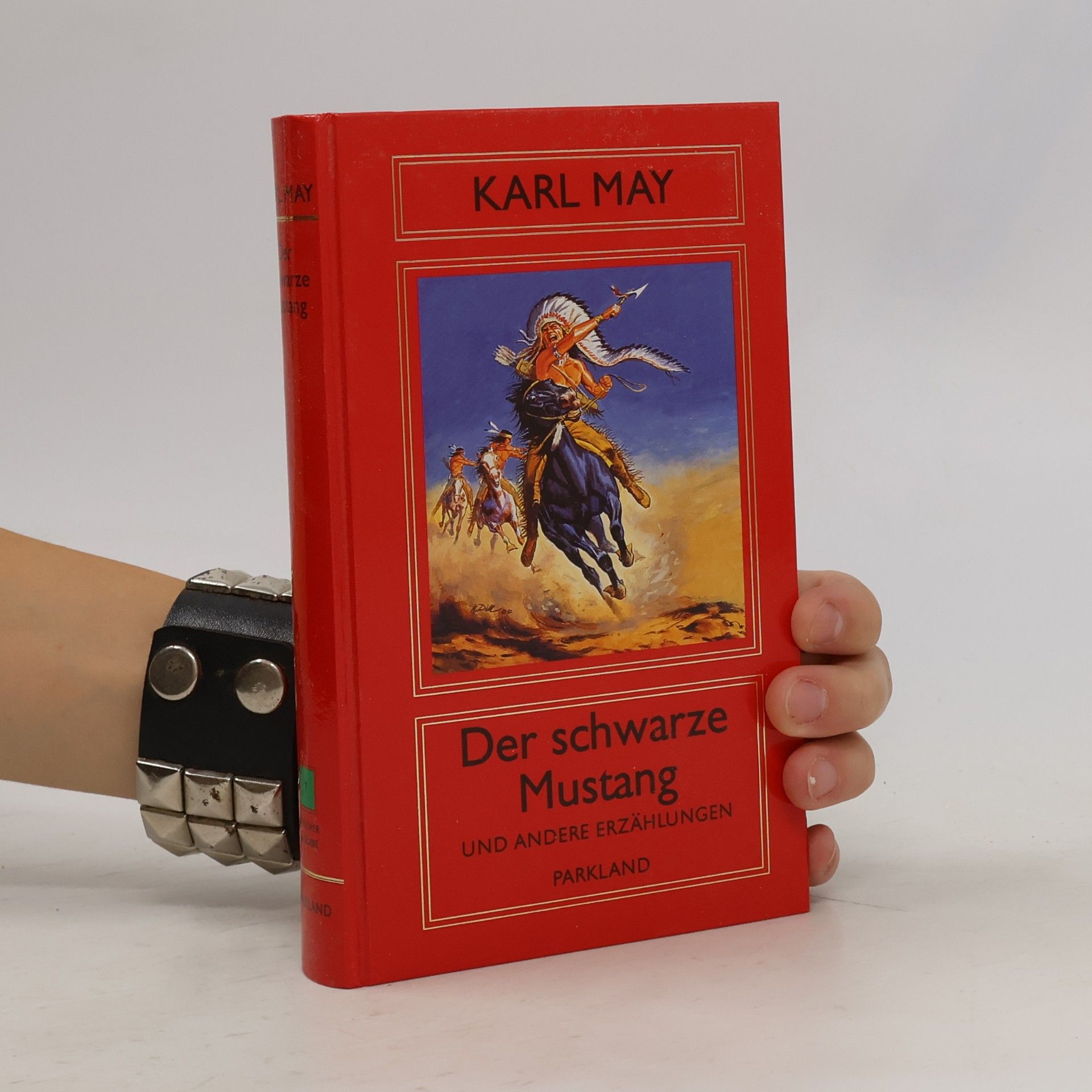 Karl May Der schwarze Mustang