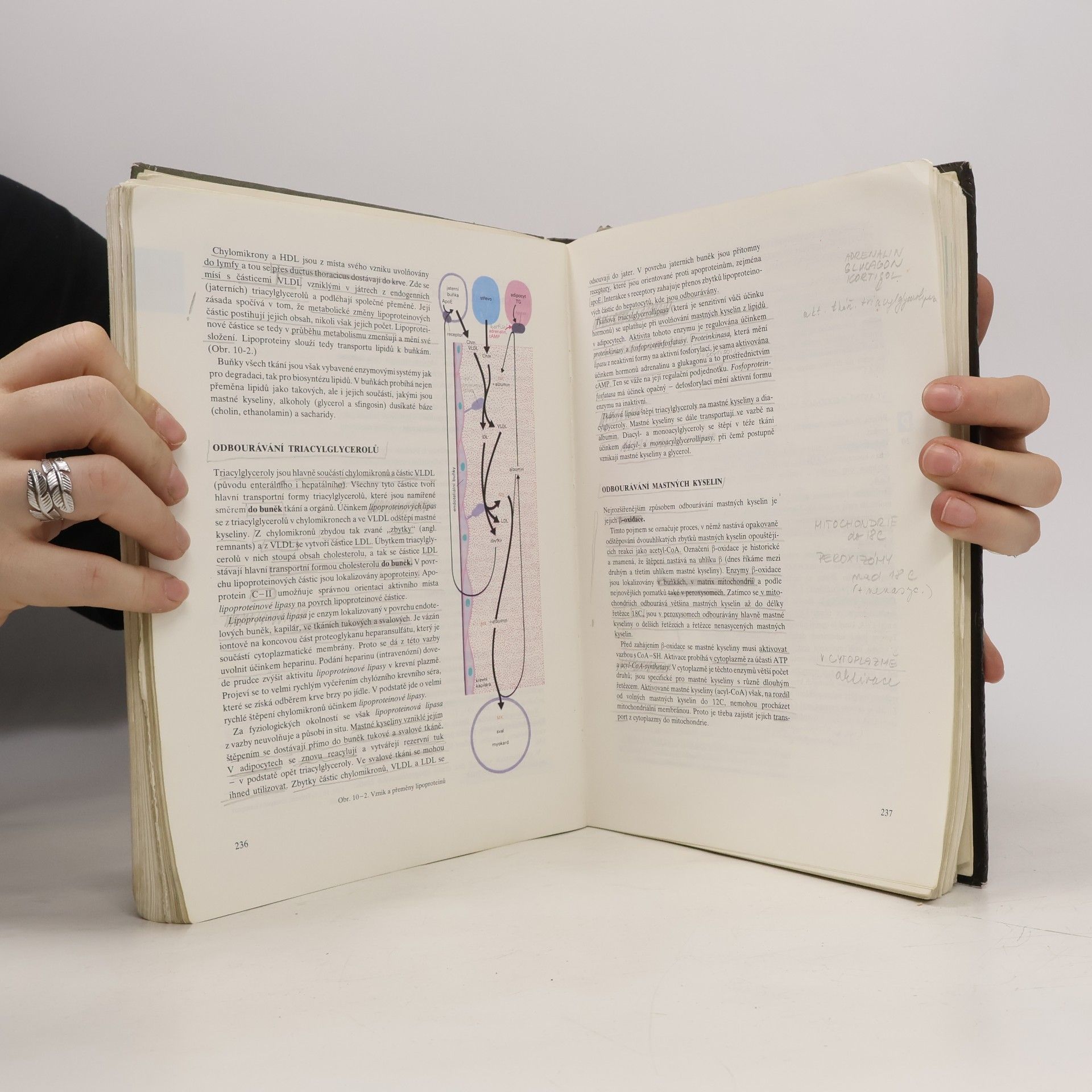 Autores varios Lékařská chemie a biochemie. Učebnice pro lékařské fakulty
