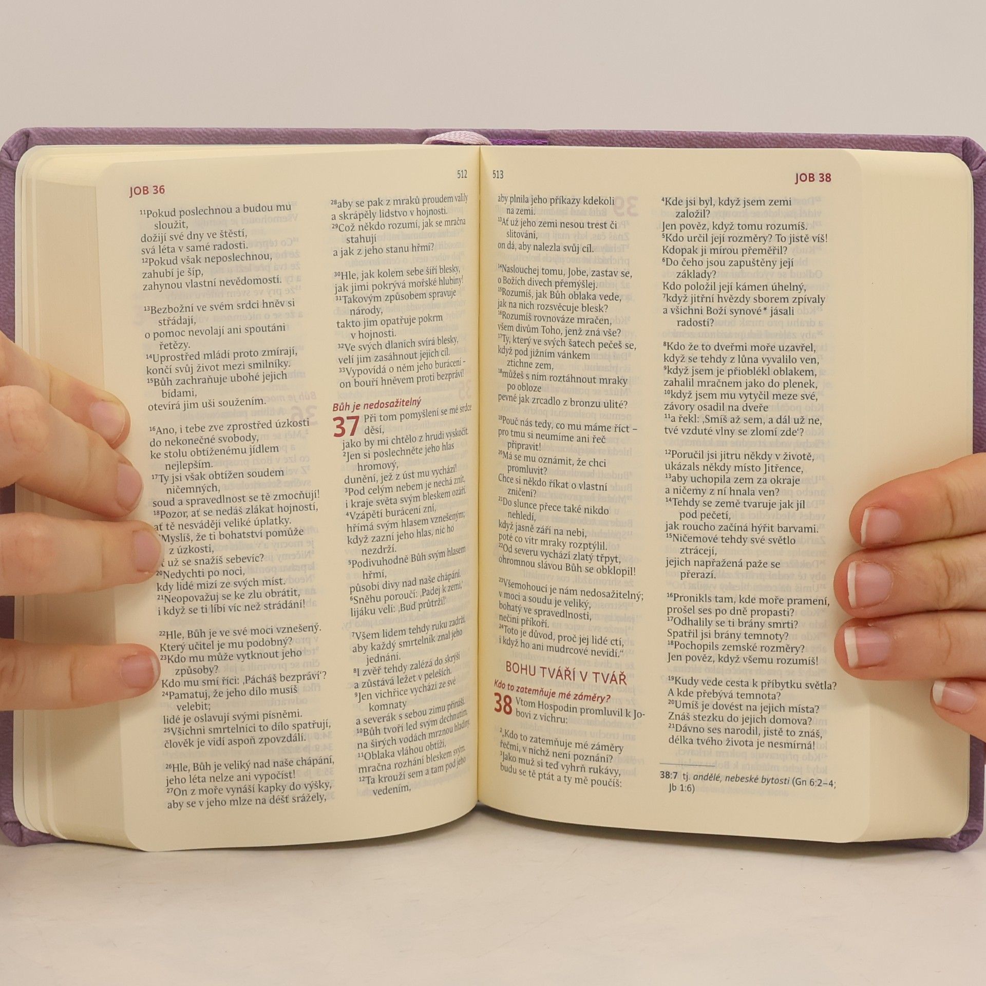 Alexandr Flek Bible