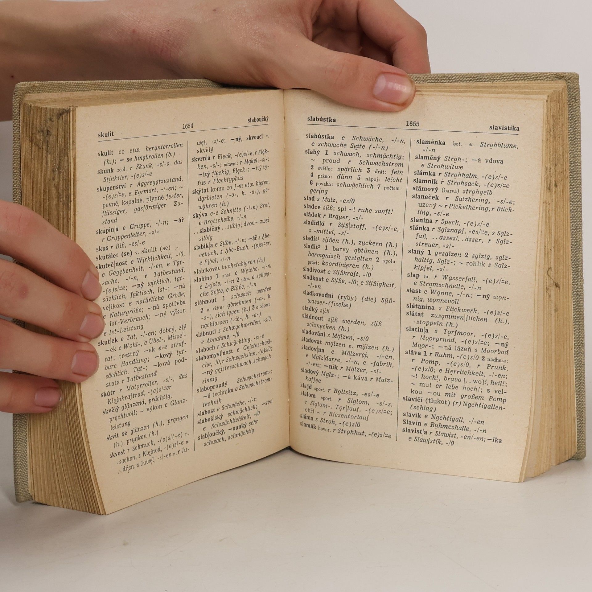 Autorenkollektiv Německo-český a česko-německý slovník. Část Česko-německá
