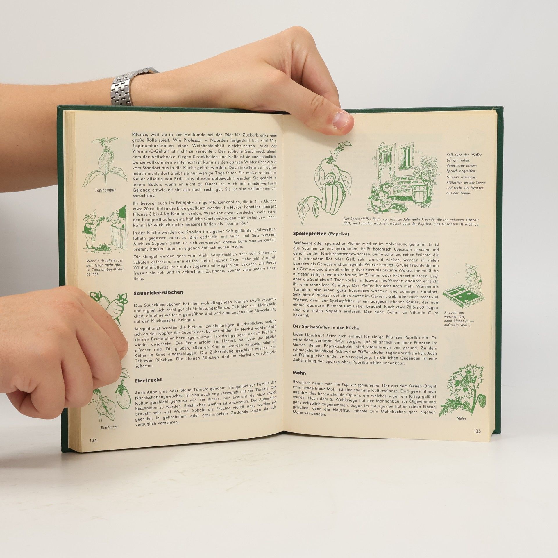 Harry Pötschkes Gärtner Pötschkes großes Gartenbuch