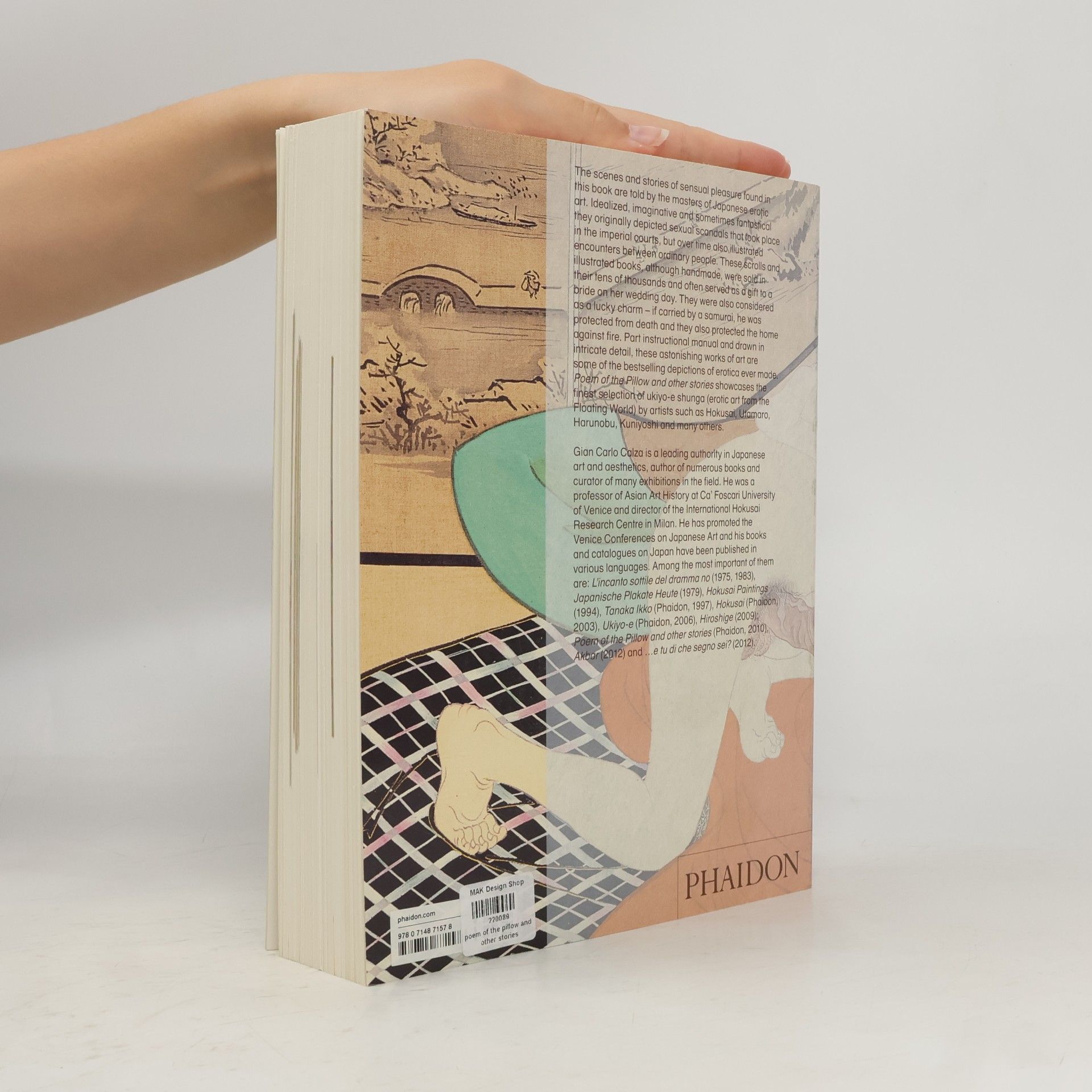 Gian Carlo Calza Poem Of The Pillow And Other Stories