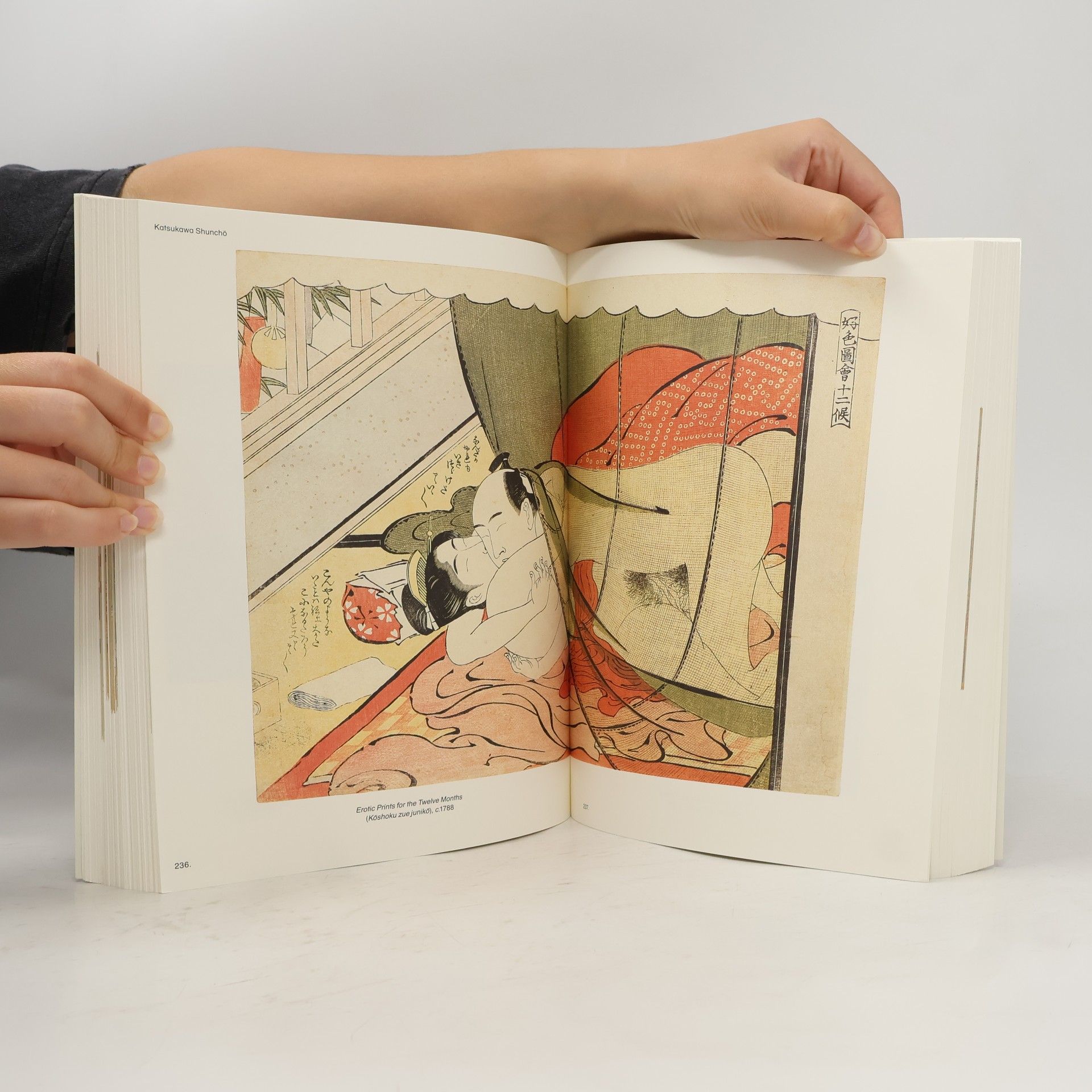 Gian Carlo Calza Poem Of The Pillow And Other Stories