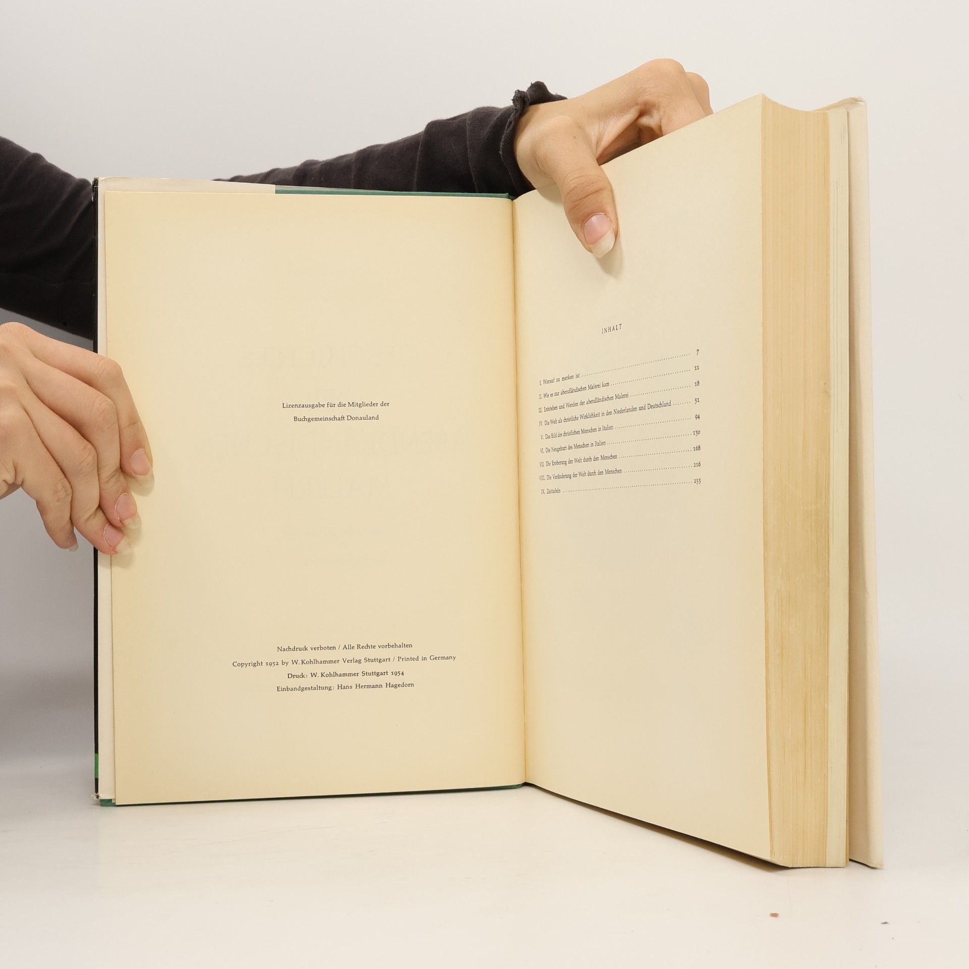 Fritz Baumgart Geschichte der abendiändischen Malerei