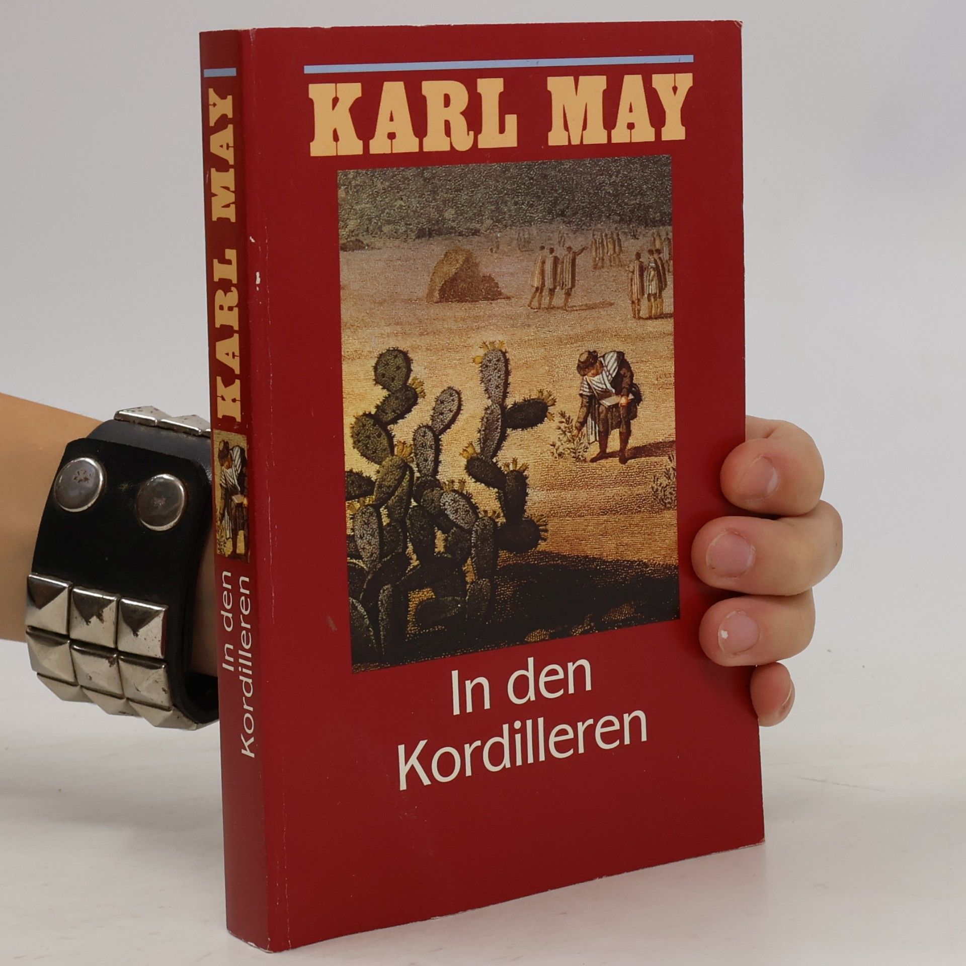 Karl May In den kordilleren