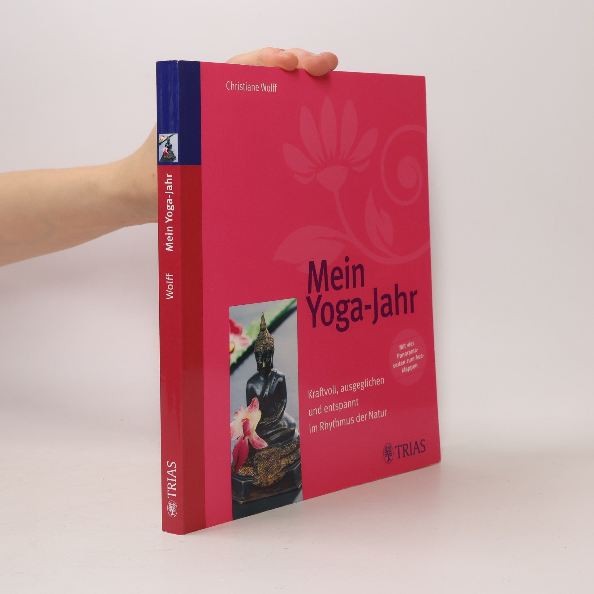 Mein Yoga-Jahr