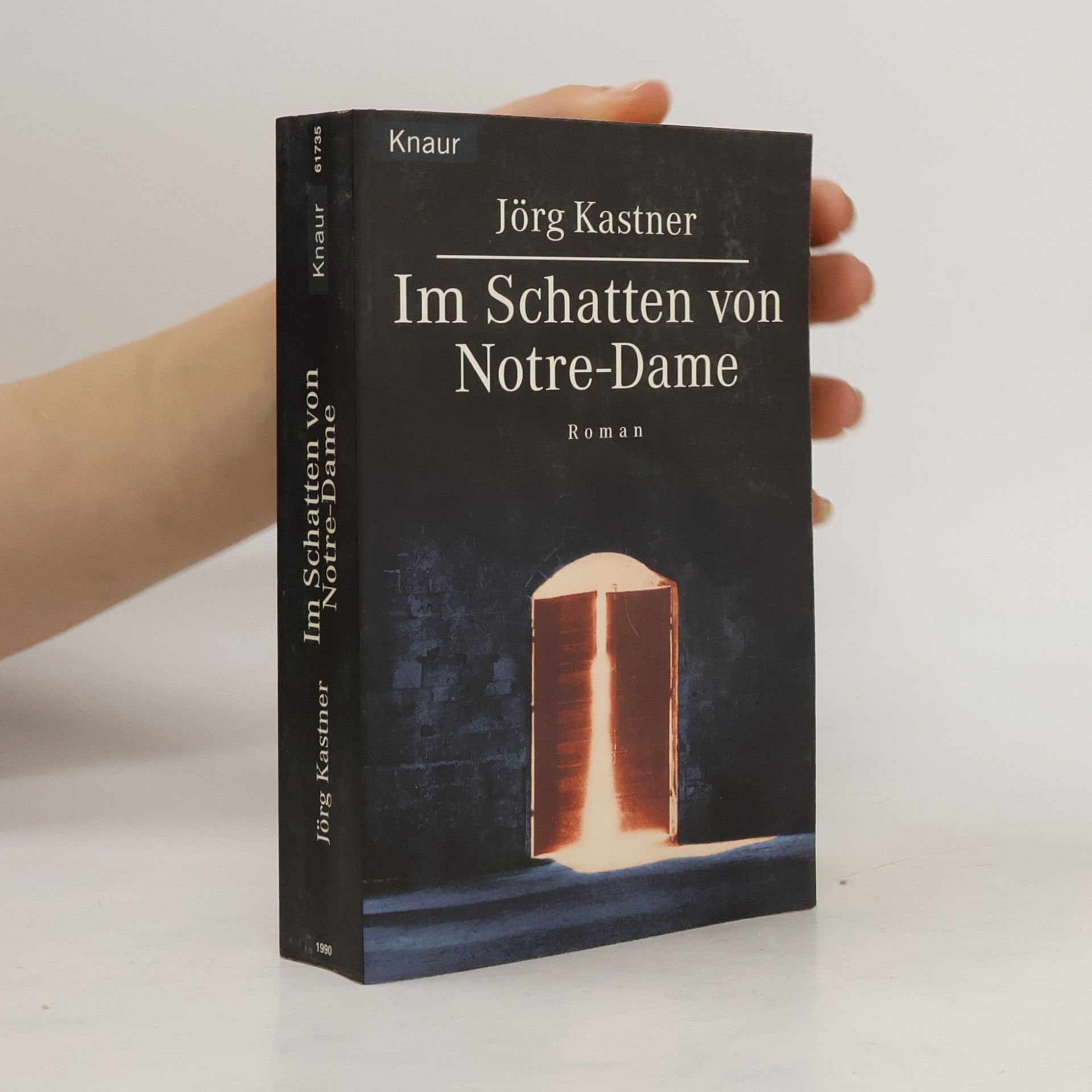 Jörg Kastner Im Schatten von Notre Dame