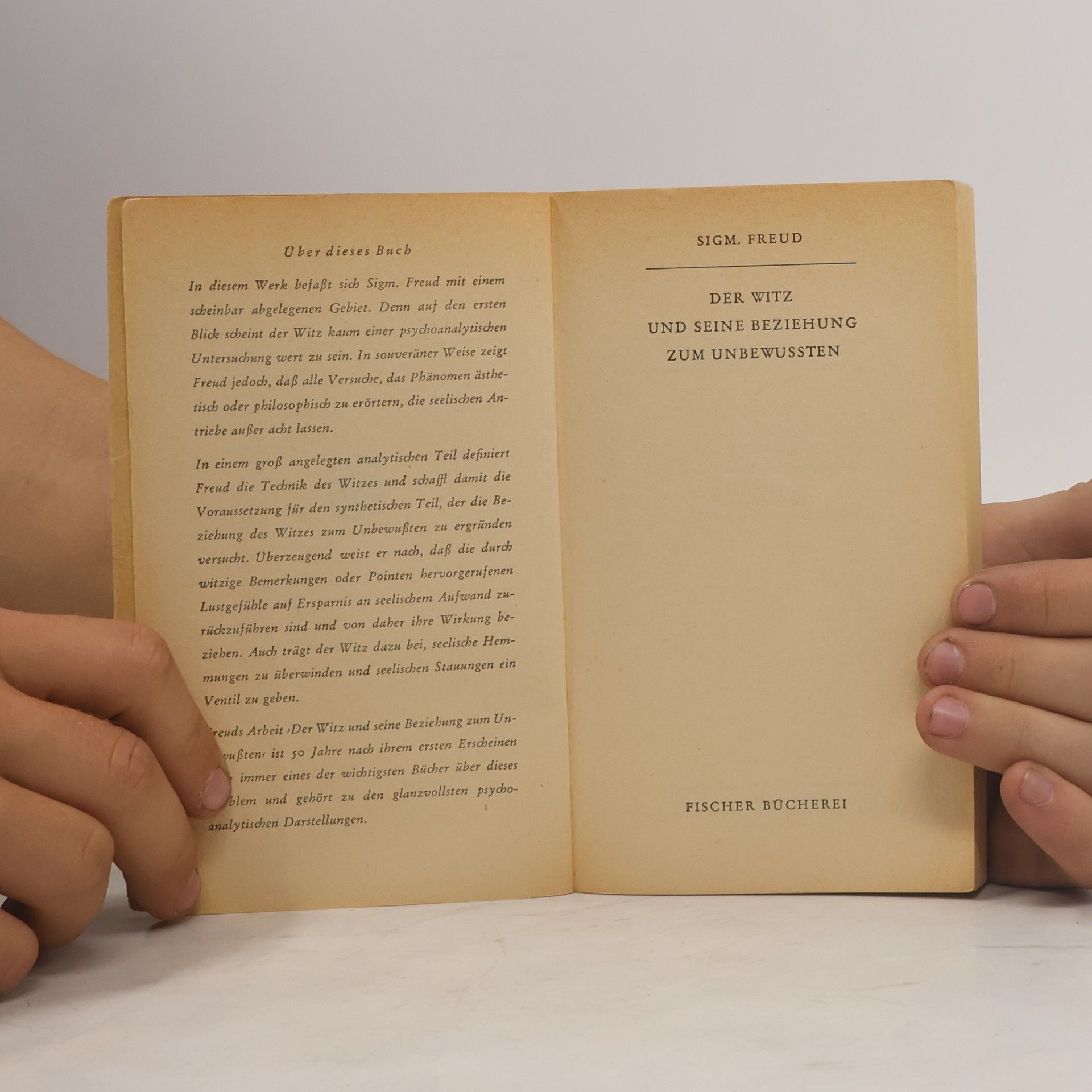 Sigmund Freud Der Witz