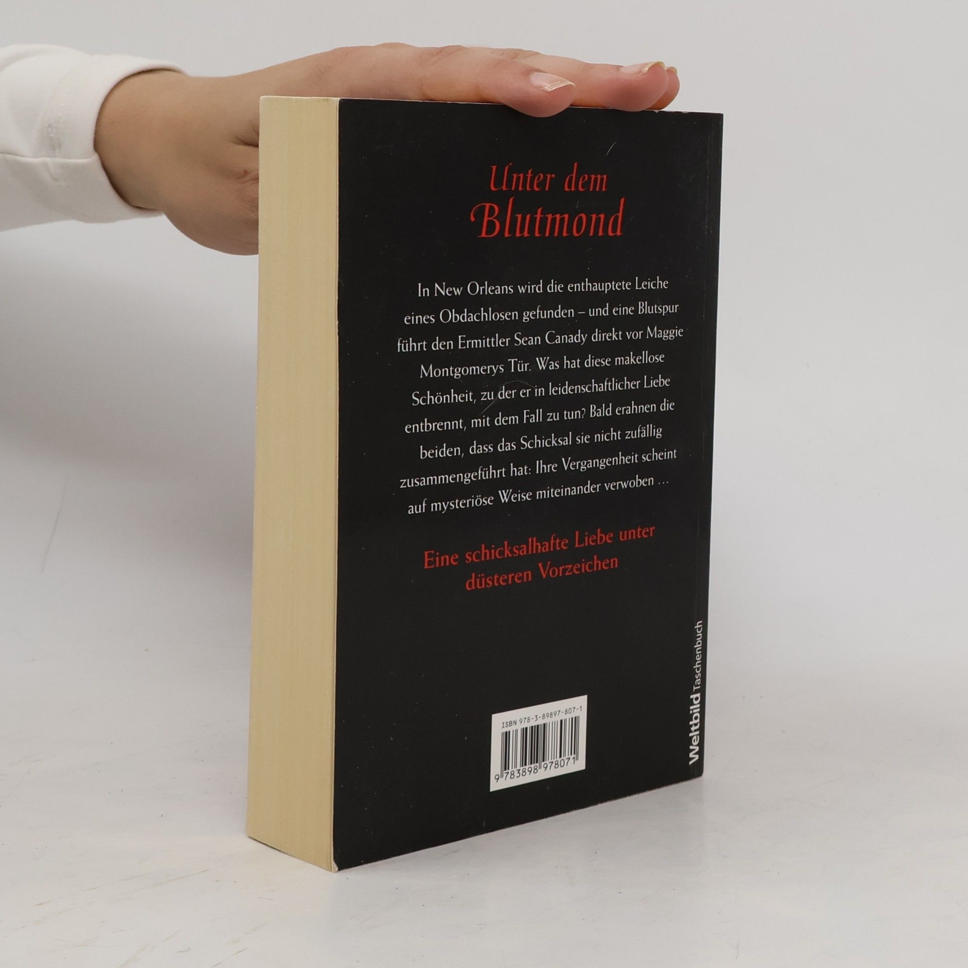 Shannon Drake Unter dem Blutmond