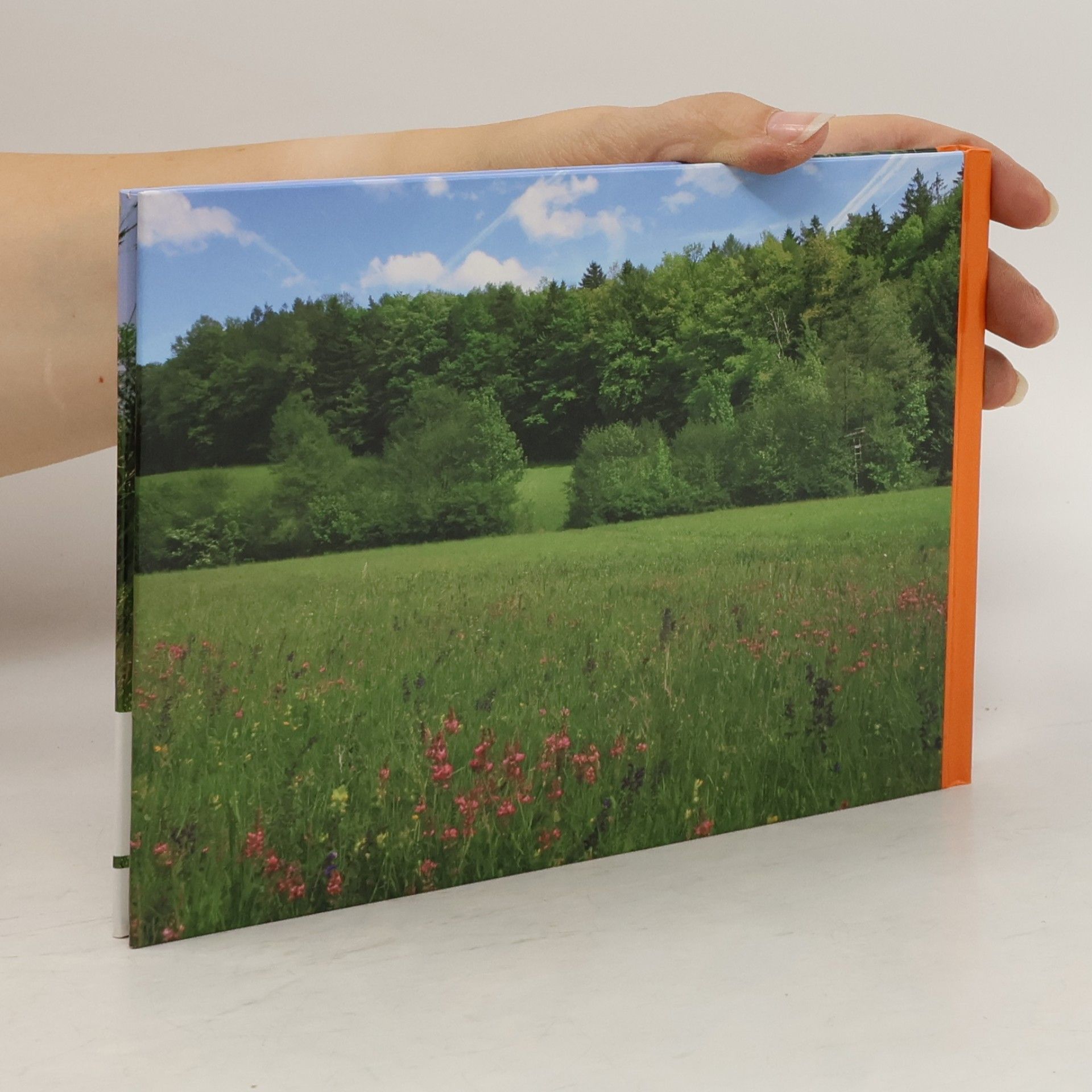 Gabriele Pfundner Wiesen und Weiden im Wienerwald