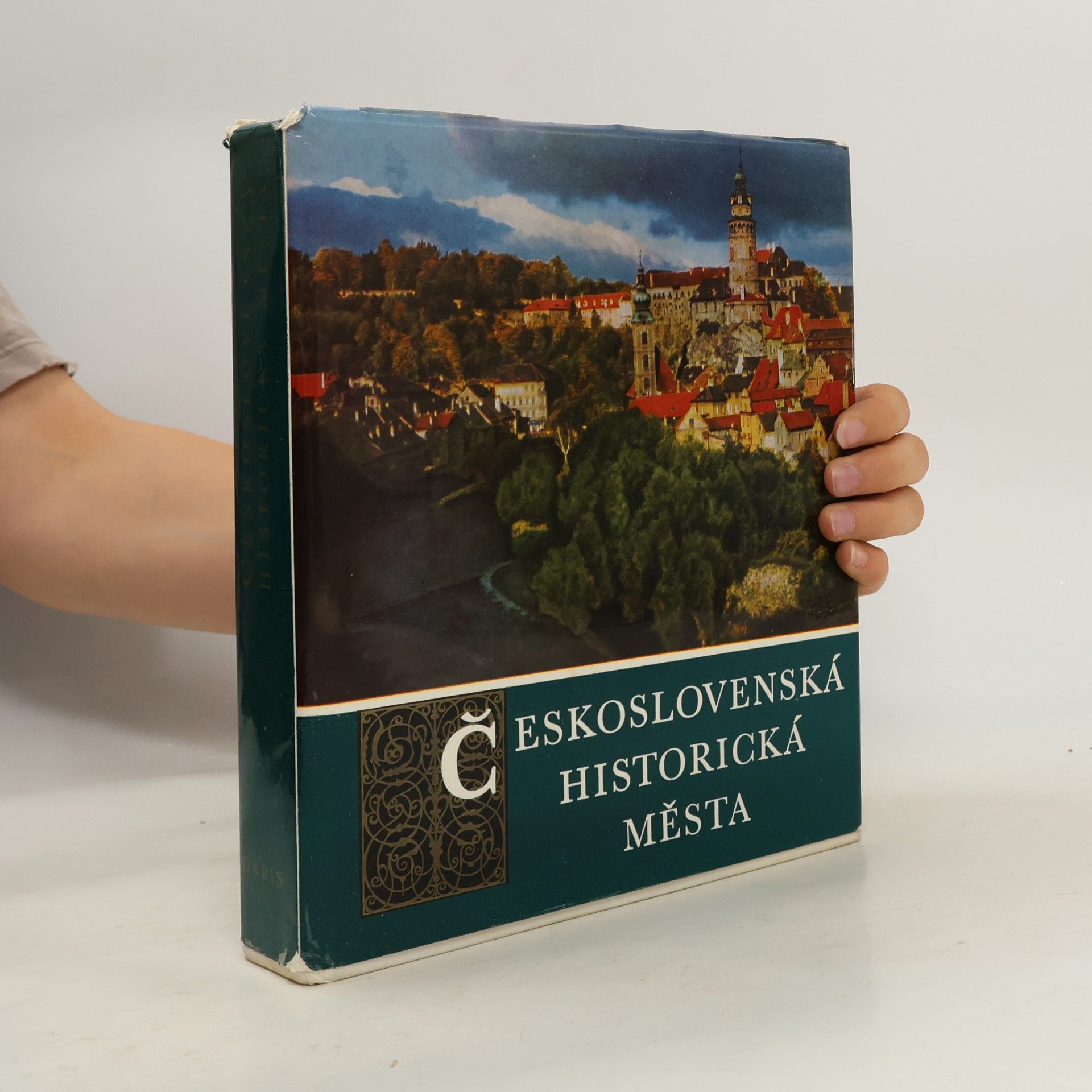 Kolektiv autorů Československá historická města