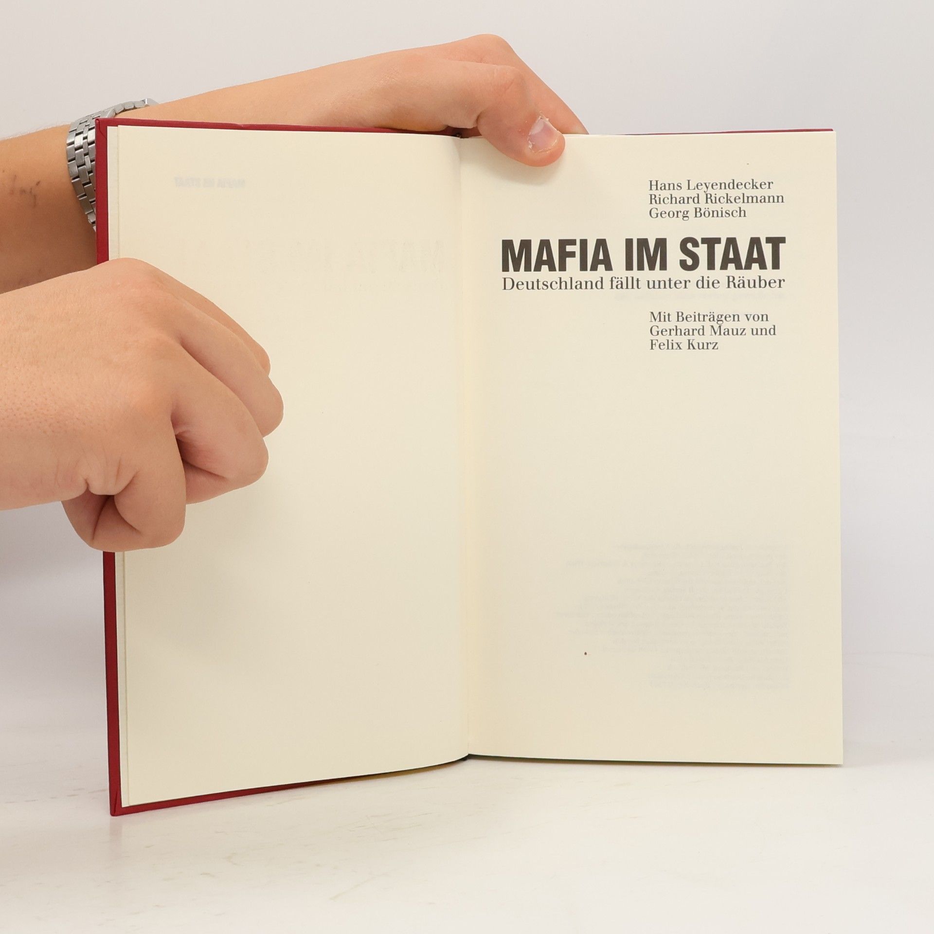 Kolektiv autorů Mafia im Staat