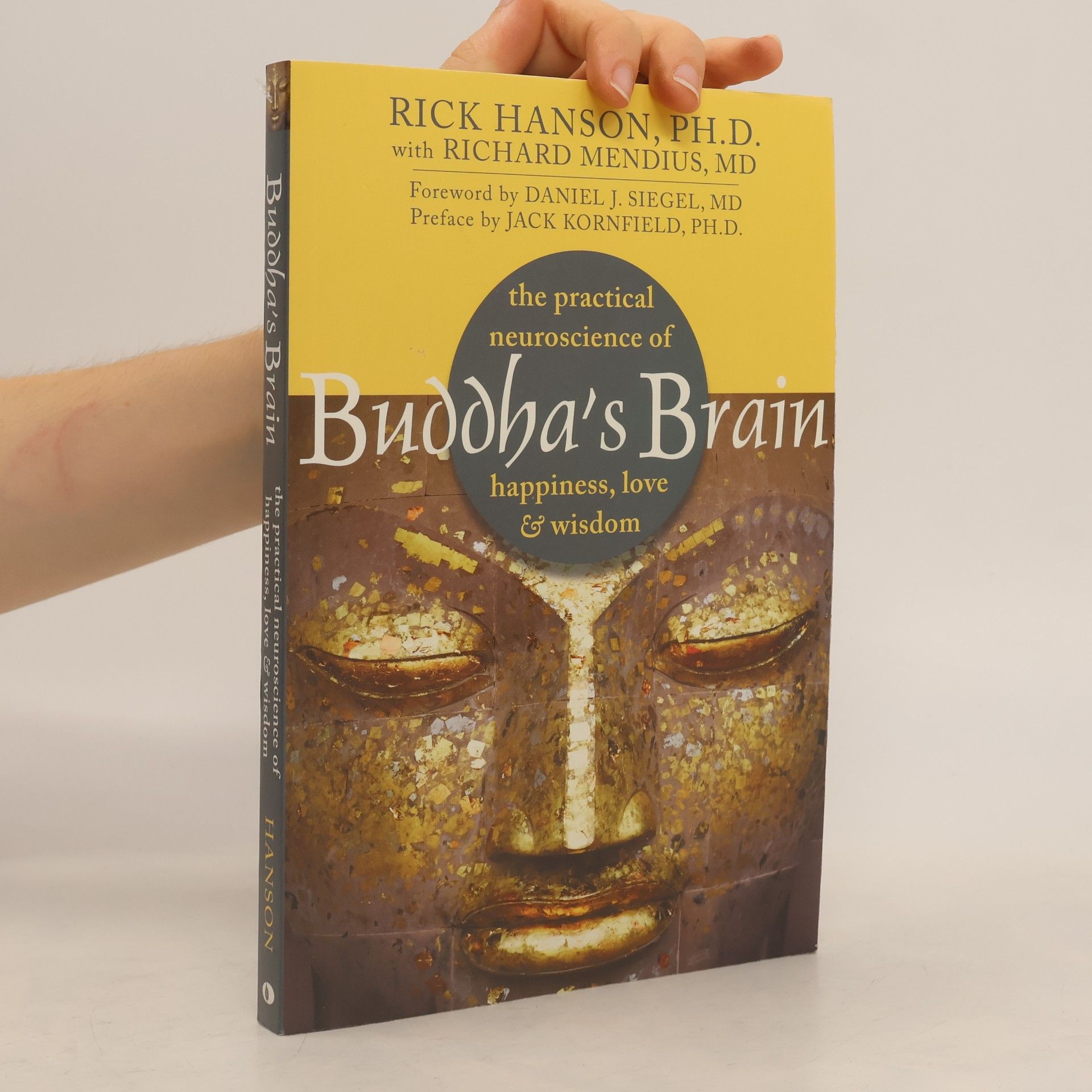 Rick Hanson Buddha's Brain