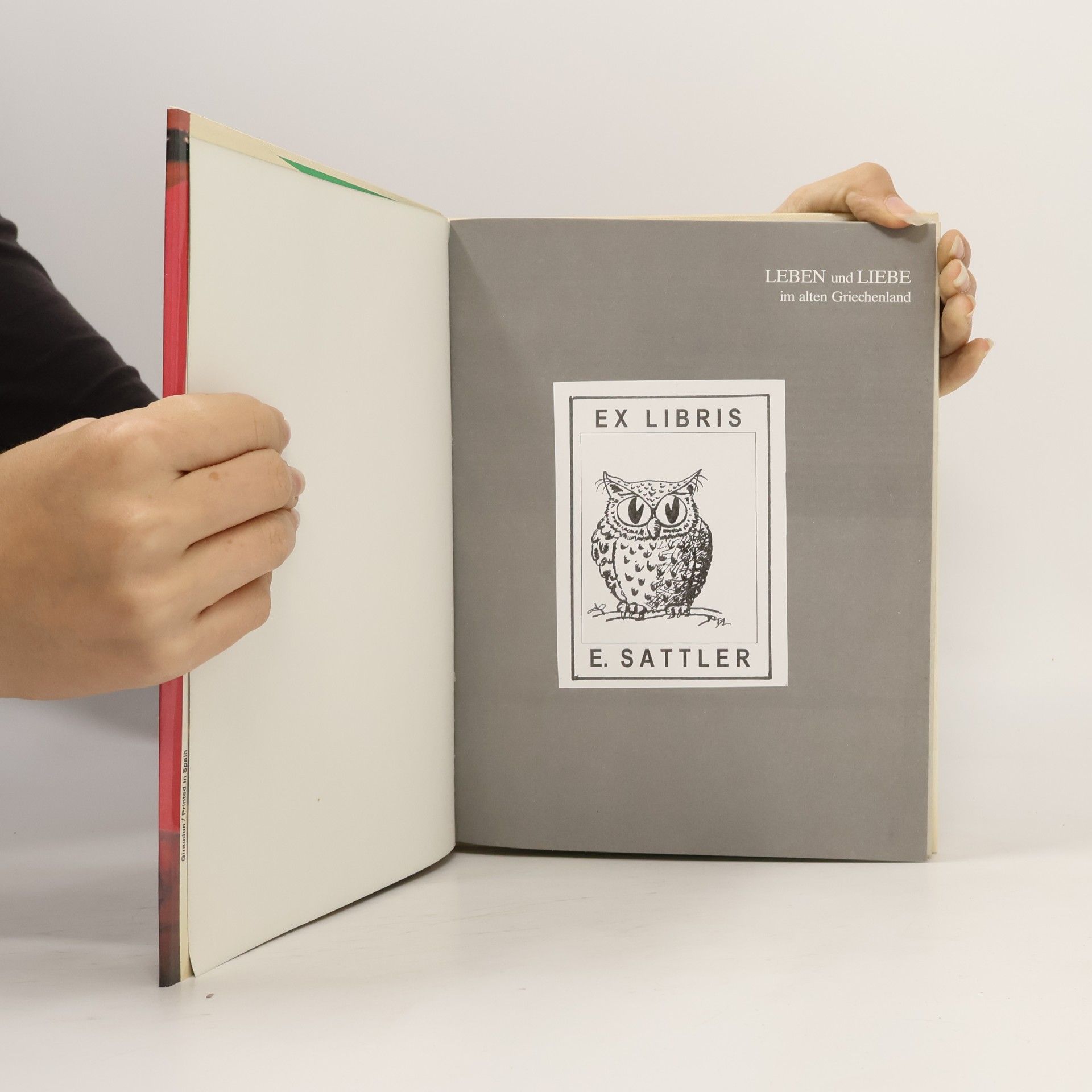 Autorenkollektiv Leben und Liebe im alten Griechenland