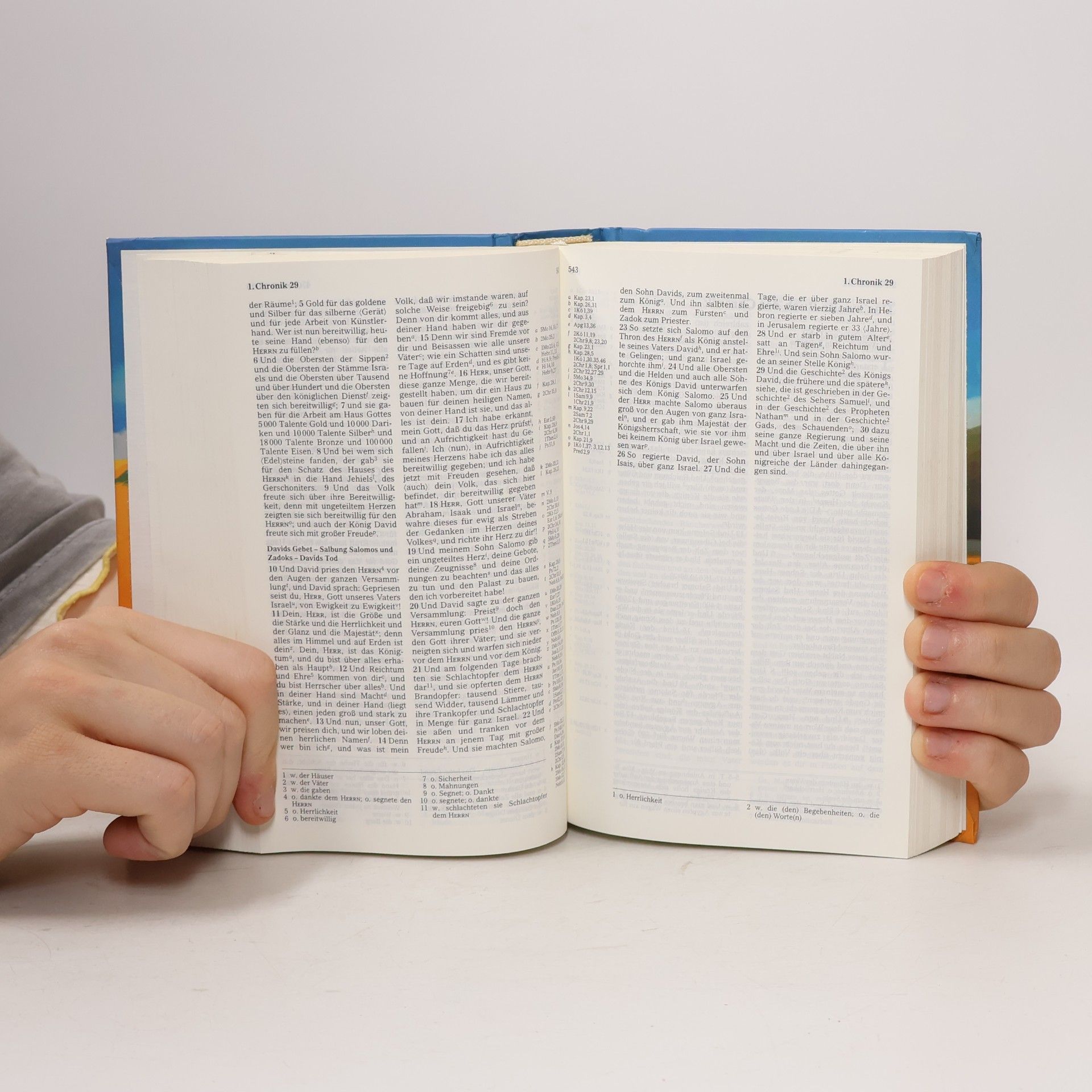 Various authors Die Bibel