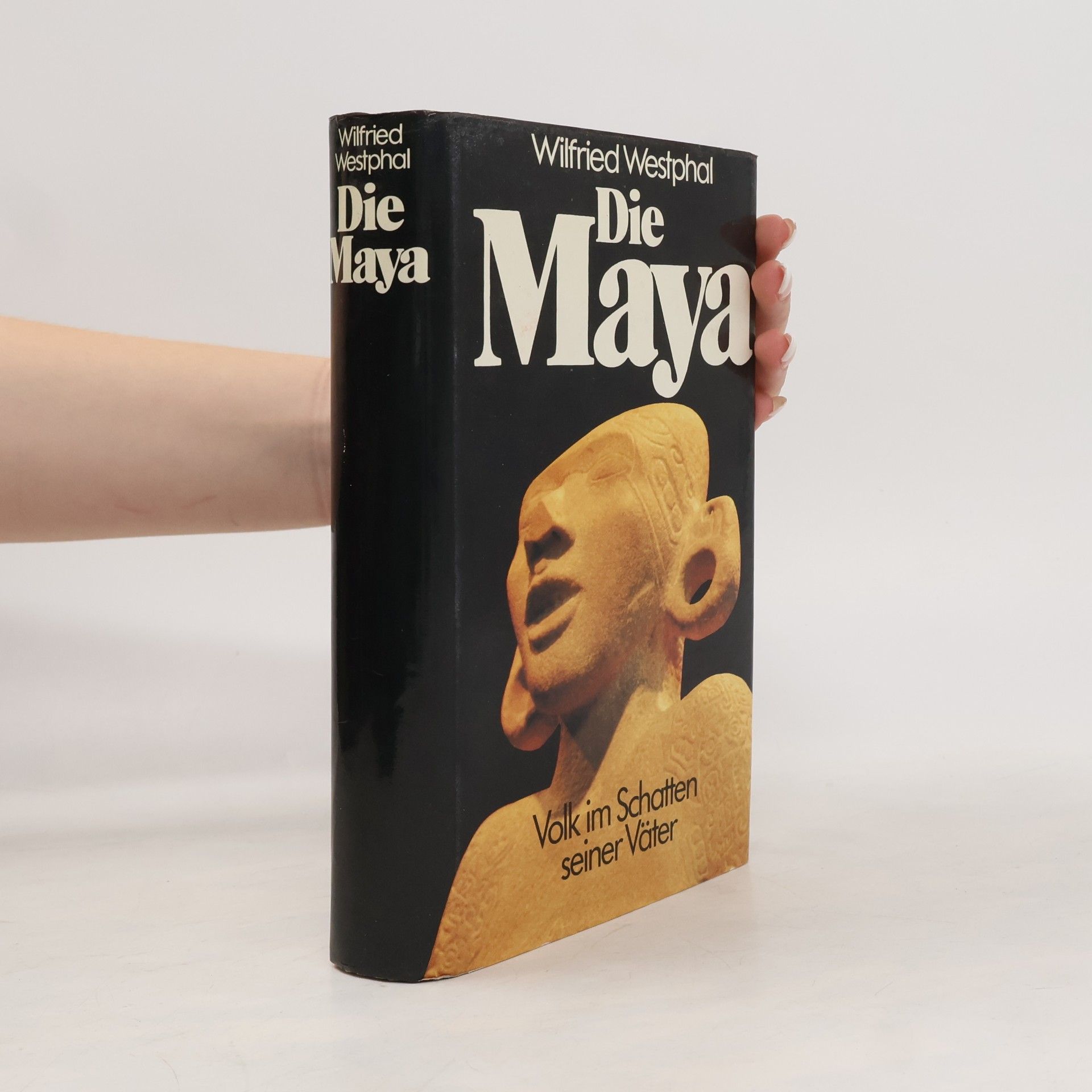 Die Maya. Volk im Schatten seiner Väter