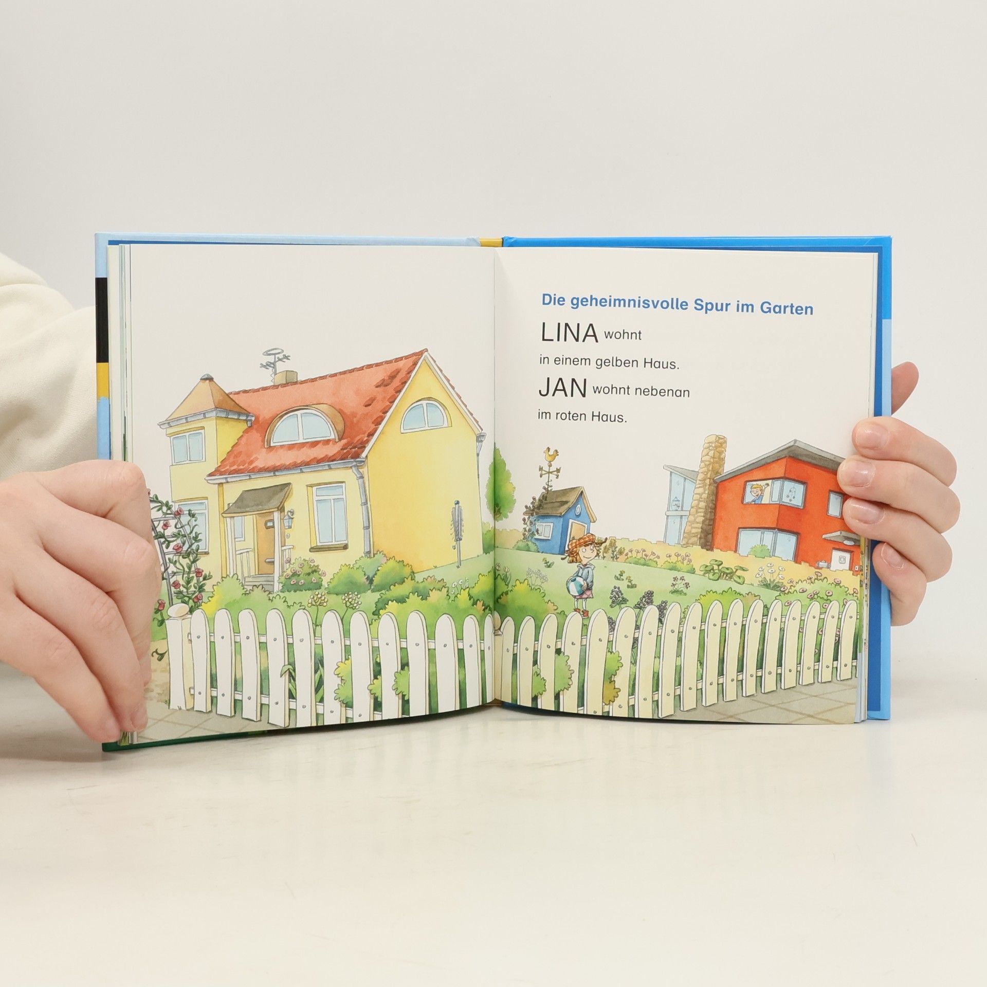 Luise Holthausen Abenteuergeschichten zum gemeinsamen Lesen
