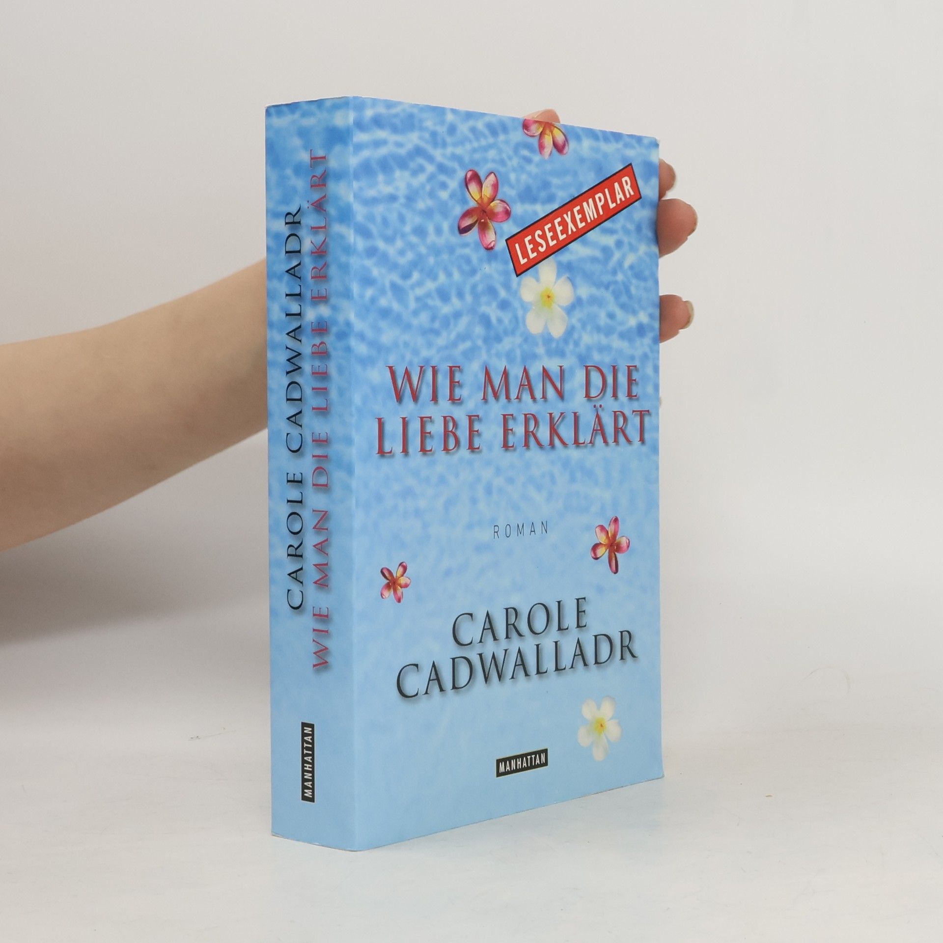 Carole Cadwalladr Wie man die Liebe erklärt