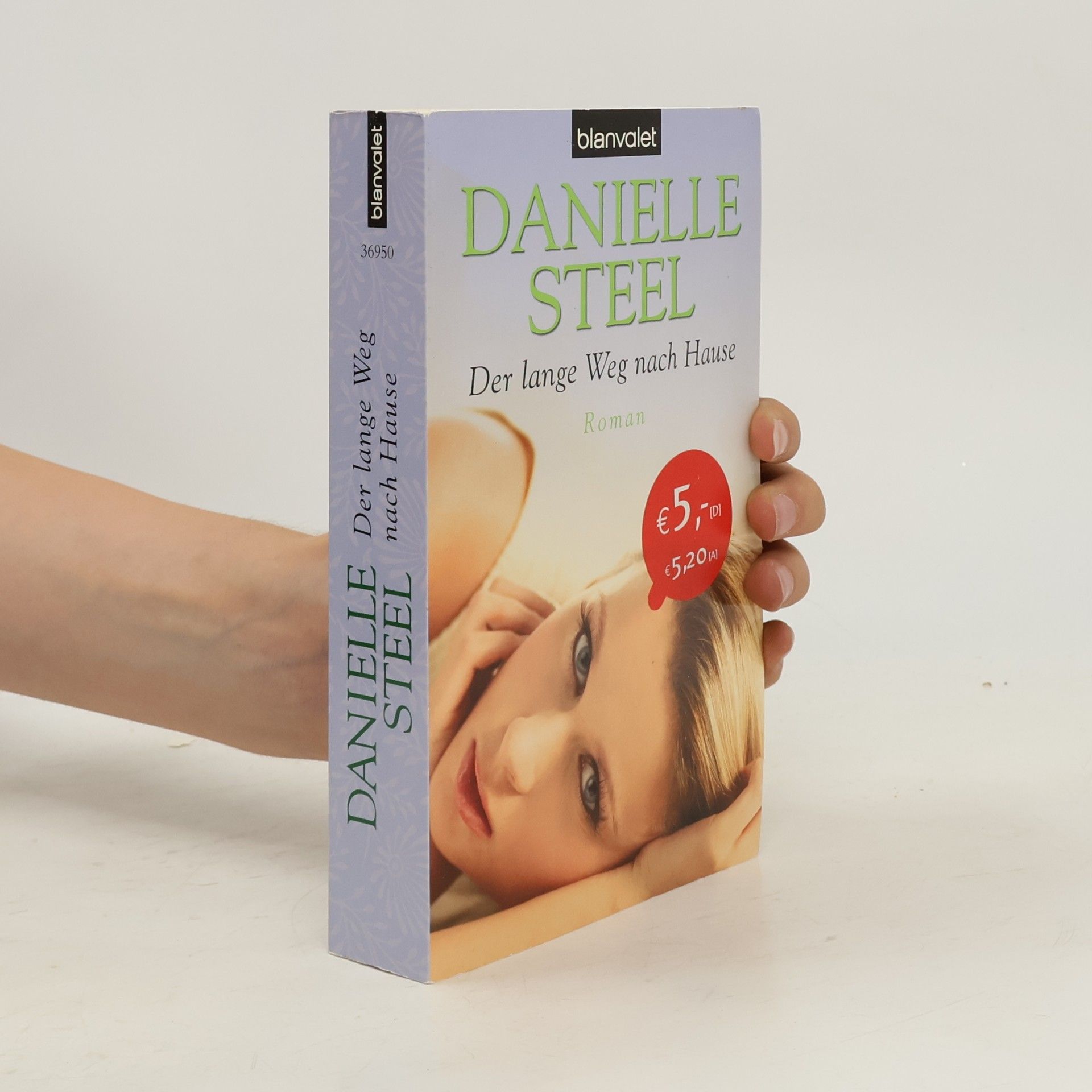 Danielle Steel Der lange Weg nach Hause