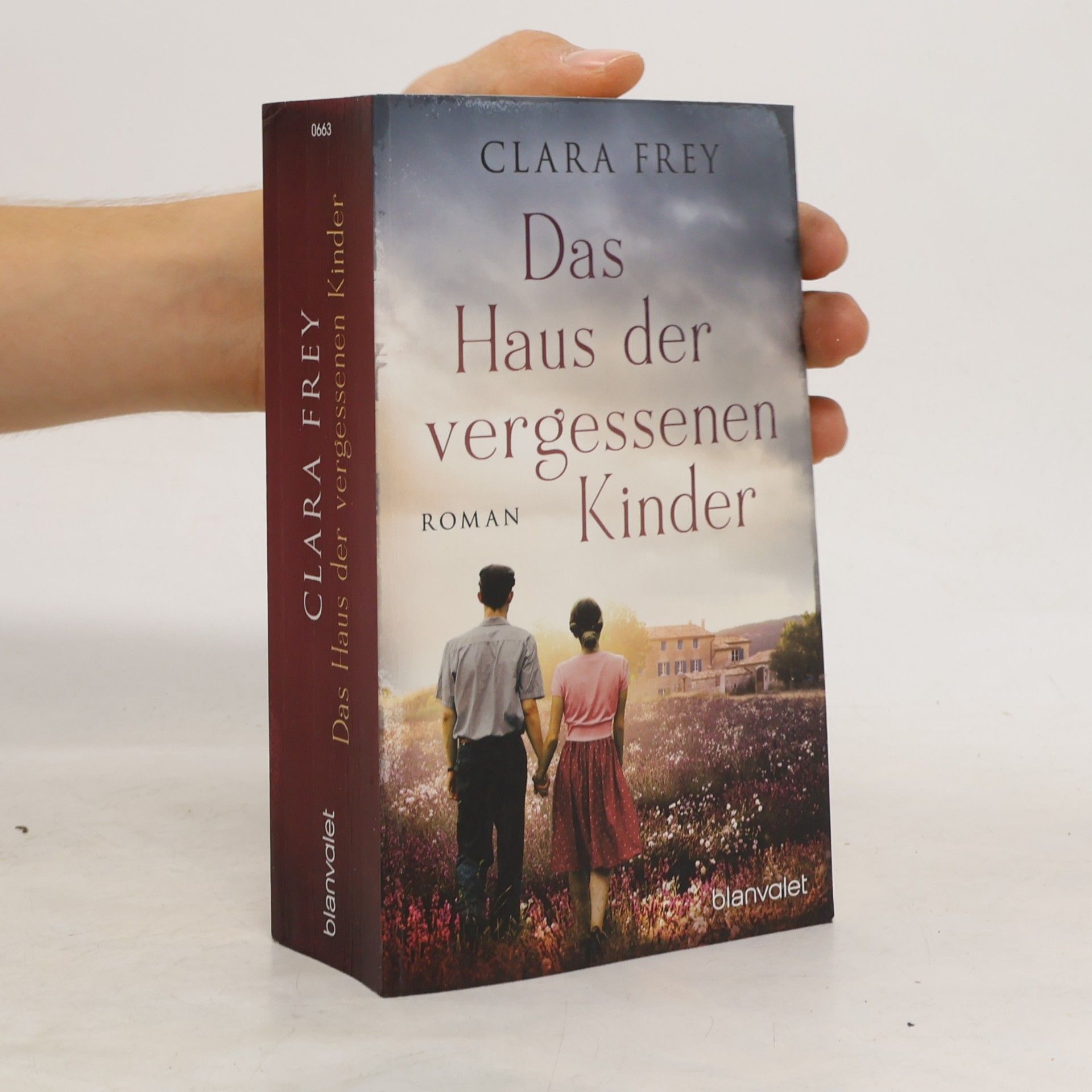 Clara Frey Das Haus der vergessenen Kinder