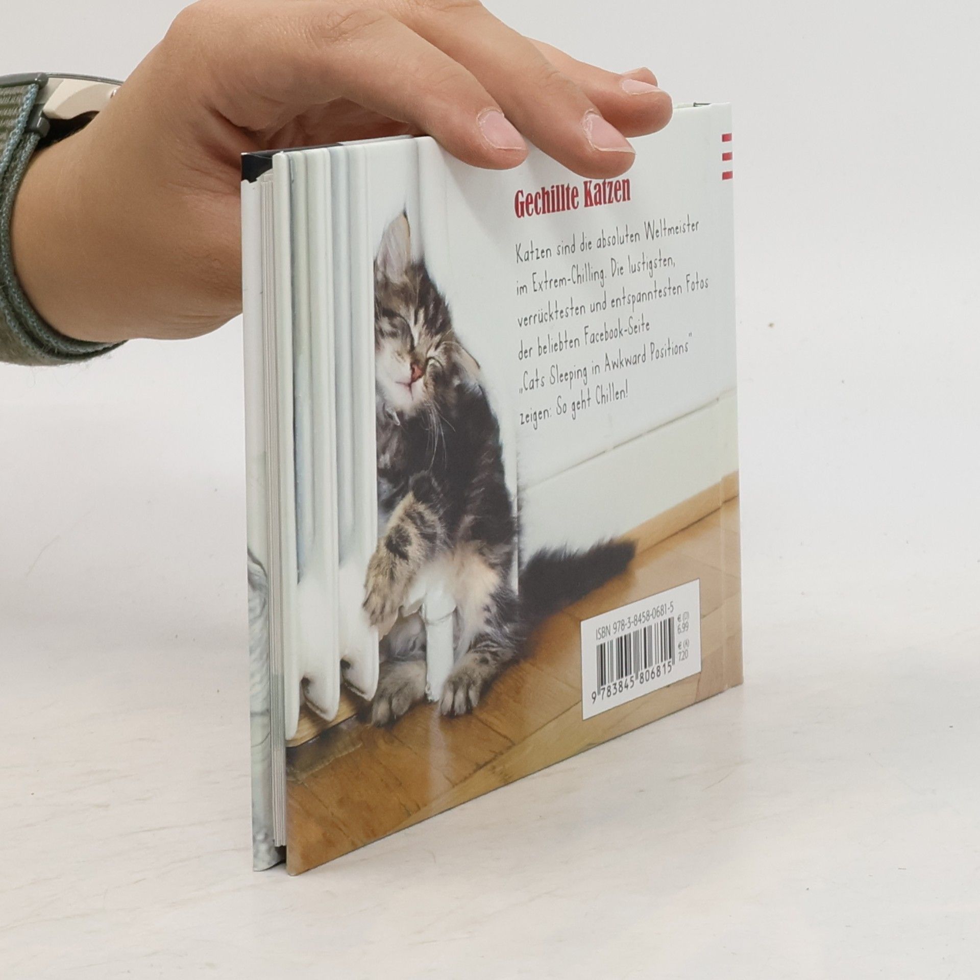 Paulus Vennebusch Gechillte Katzen