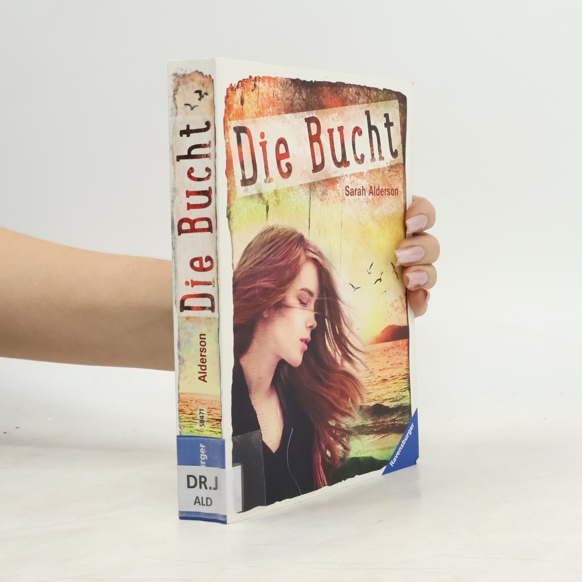 Sarah Alderson Die Bucht