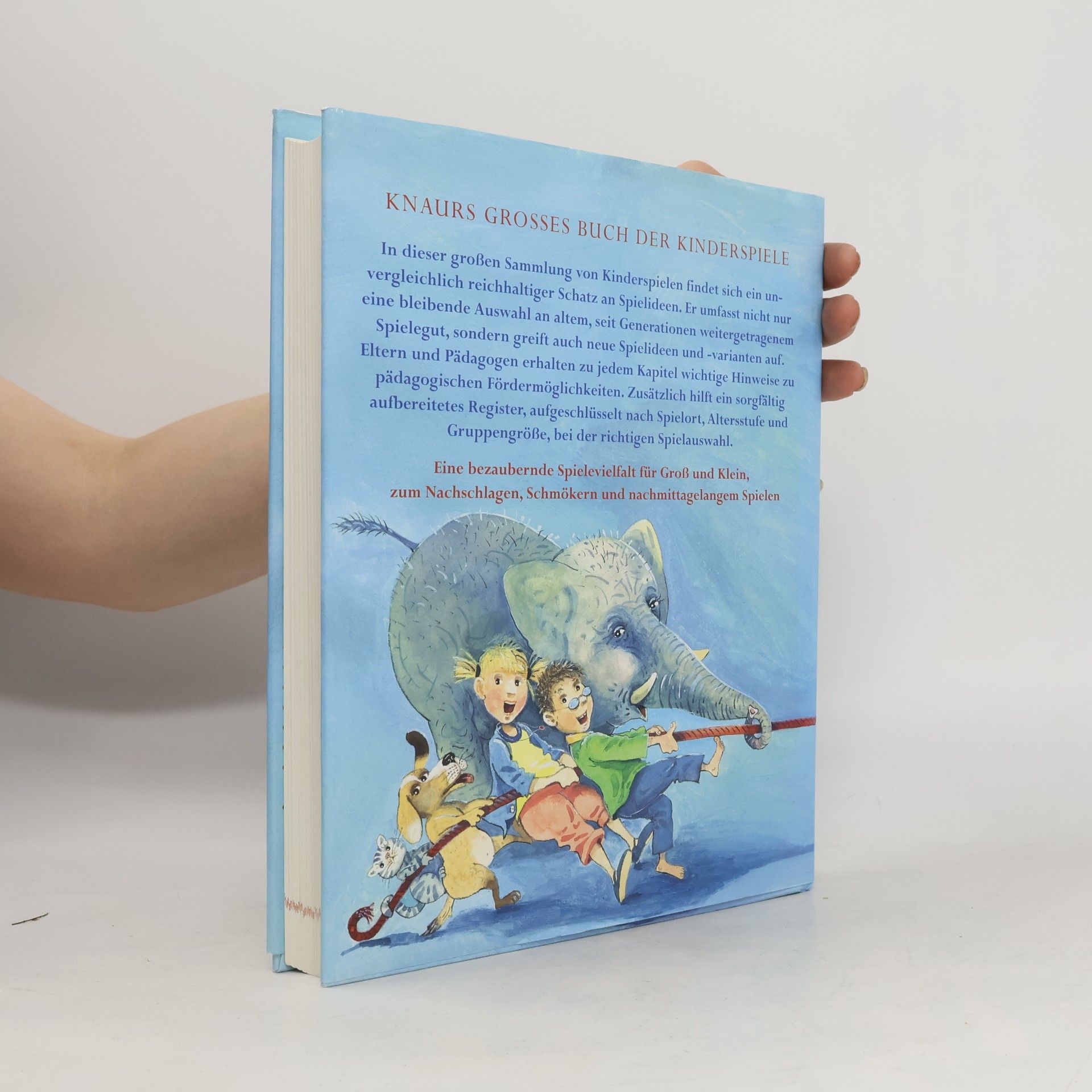 Martin Stiefenhofer Knaurs grosses Buch der Kinderspiele