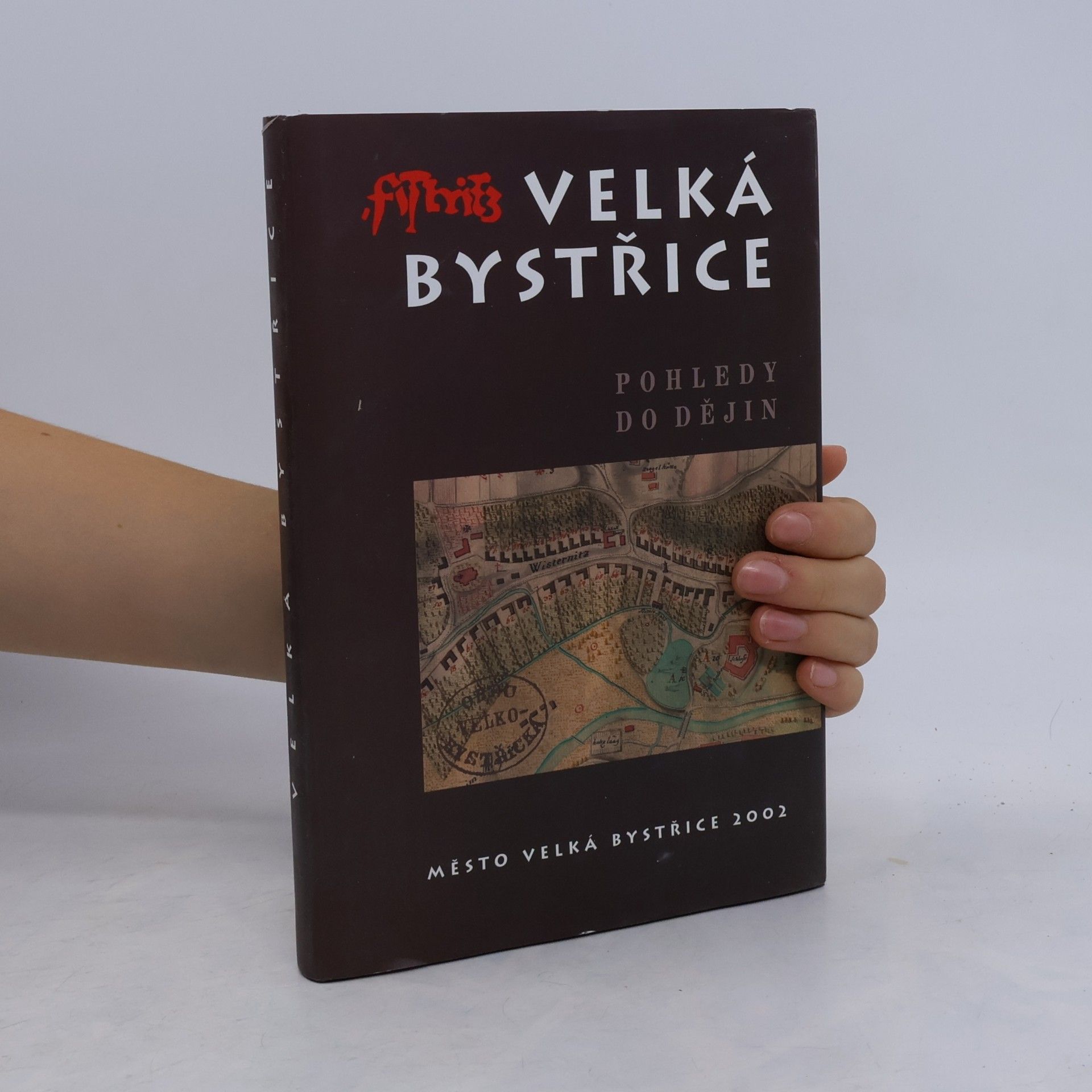 Autores varios Velká Bystřice : pohledy do dějin