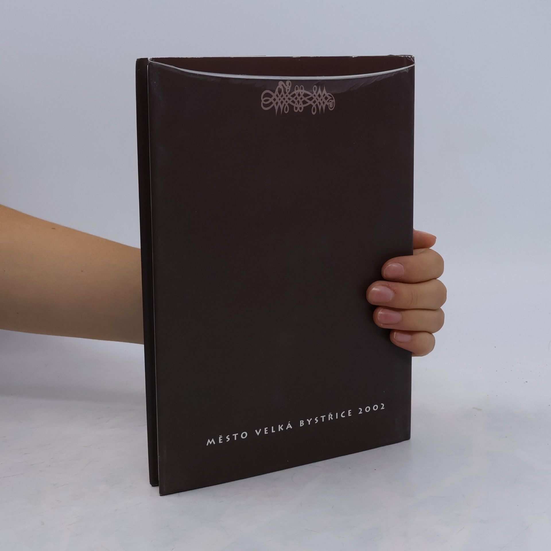 Autores varios Velká Bystřice : pohledy do dějin