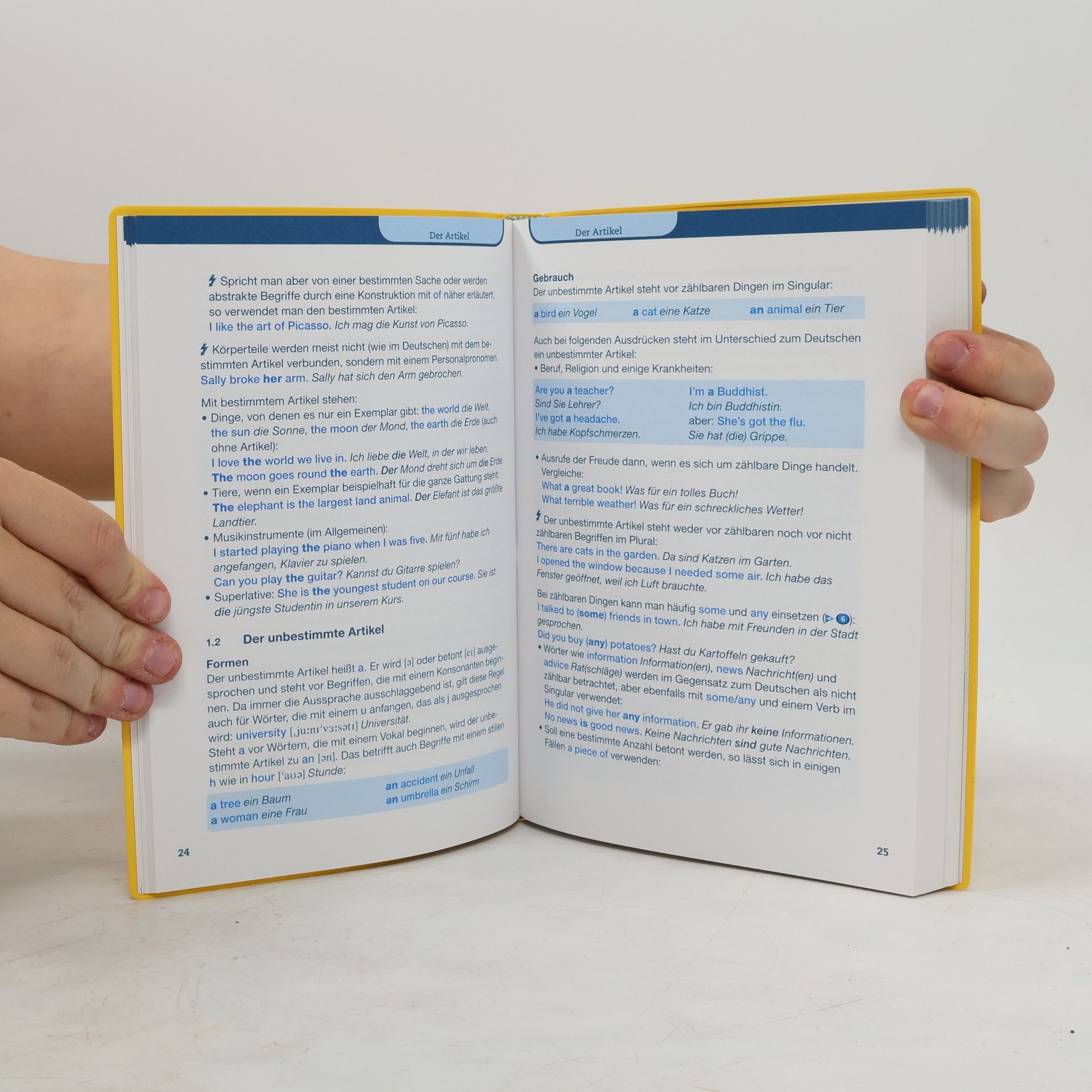 Lutz Walther Langenscheidt Premium-Schulgrammatik Englisch